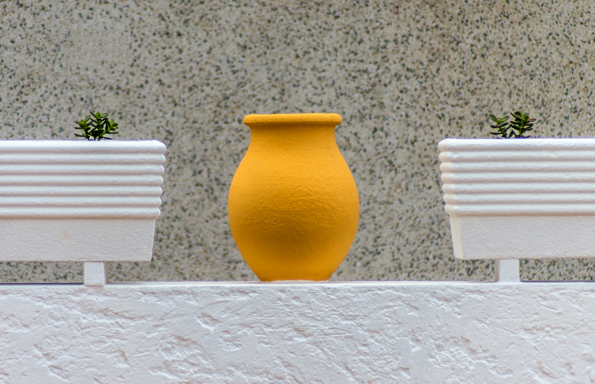 Tamron AF 70-300mm F4-5.6 Di LD Macro sample photo. The yellow photography