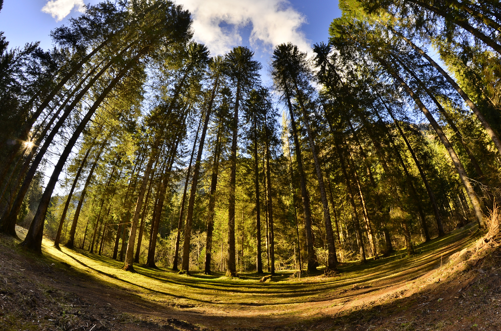 Nikon D5100 + Samyang 8mm F3.5 Aspherical IF MC Fisheye sample photo