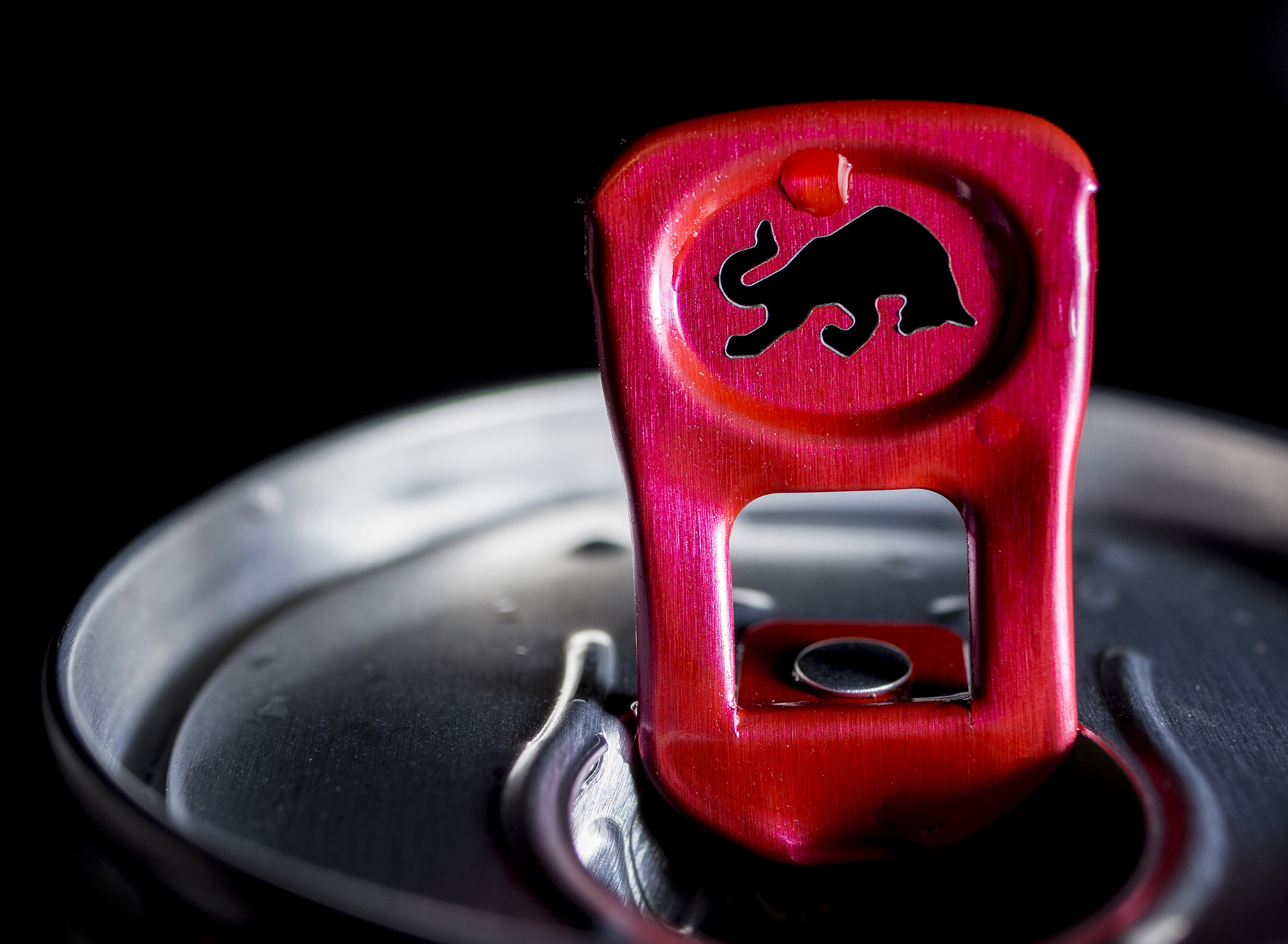 Panasonic Lumix G Macro 30mm F2.8 ASPH Mega OIS sample photo. Red bull photography