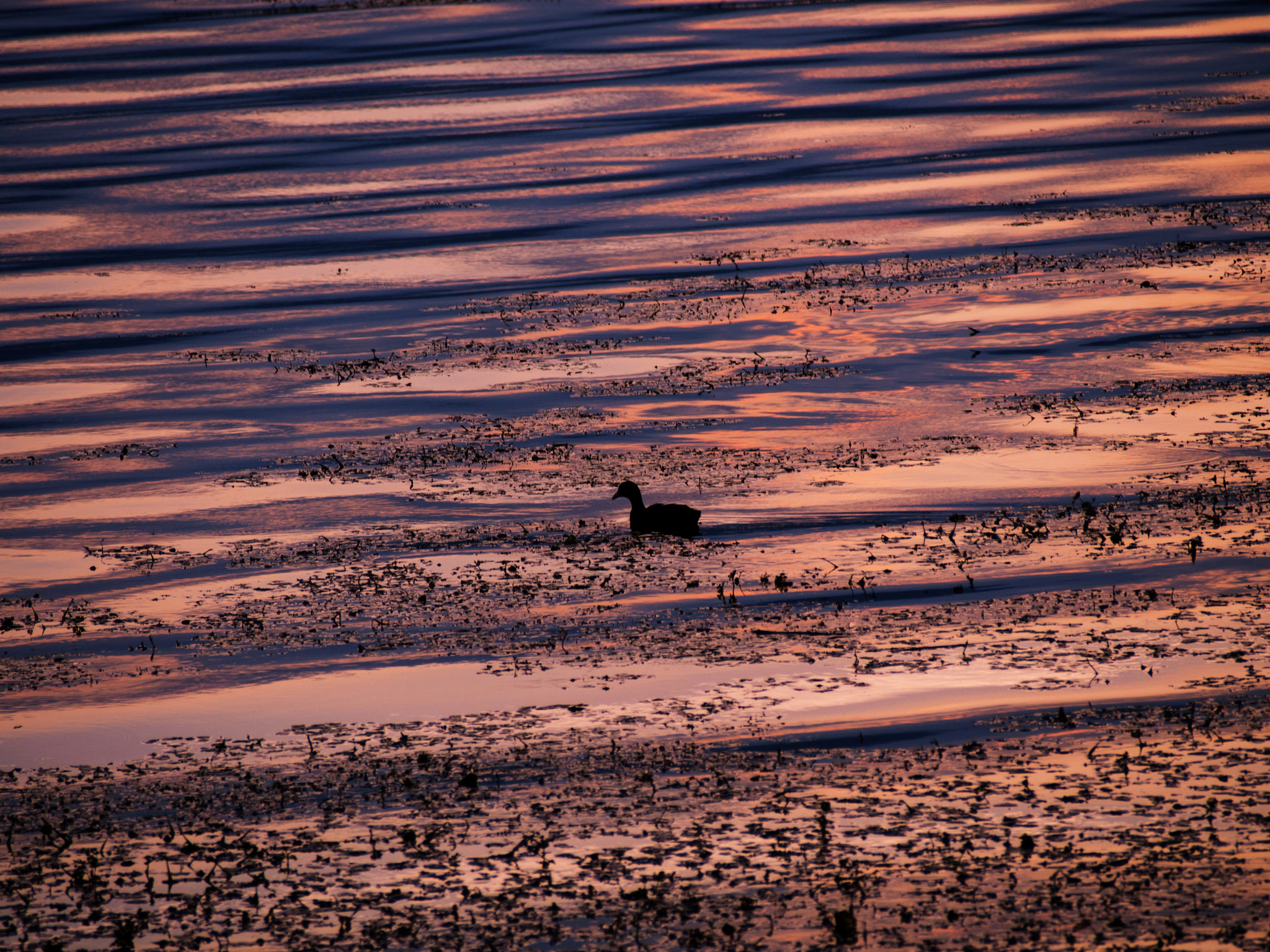 Olympus PEN E-PM2 sample photo. Waves photography