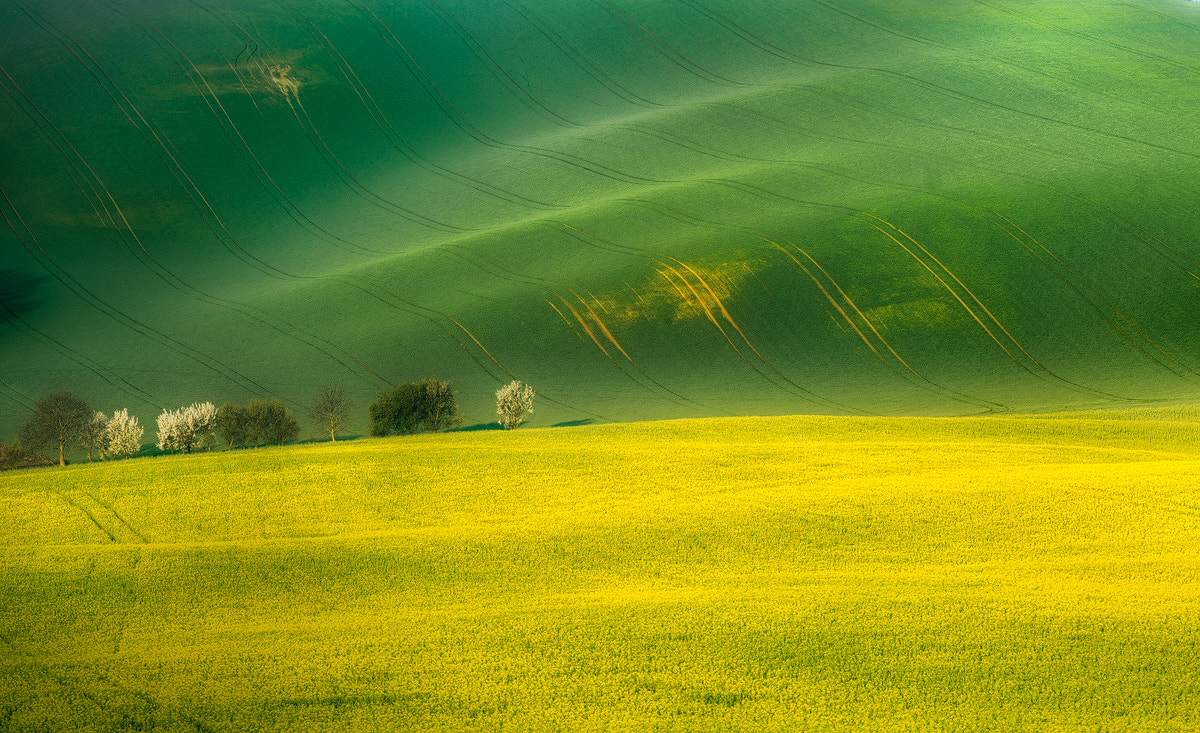 ZEISS Apo Sonnar T* 135mm F2 sample photo. South moravia (czech republic) [1] photography