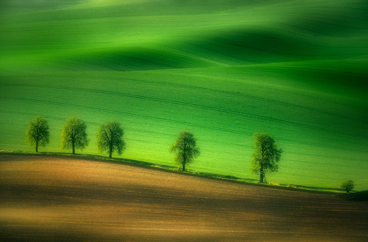 Sigma 150-500mm F5-6.3 DG OS HSM sample photo. South moravia (czech republic) [3] photography