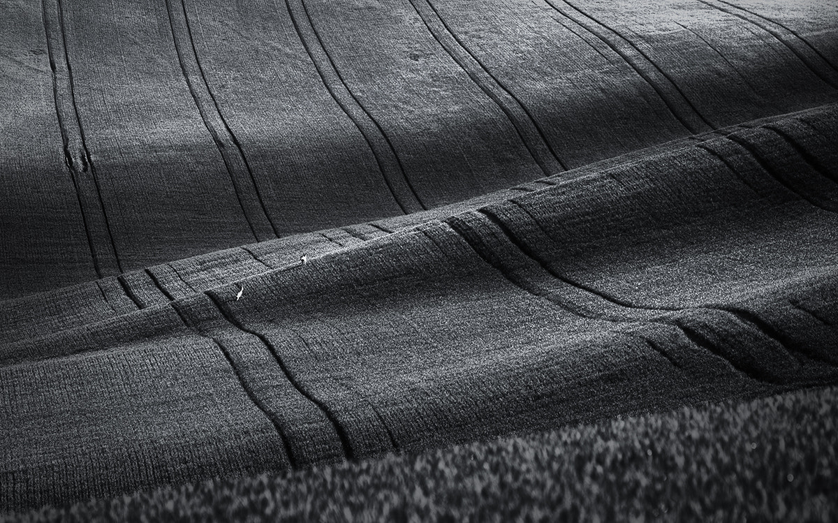 ZEISS Apo Sonnar T* 135mm F2 sample photo. South moravia (czech republic) [4] photography
