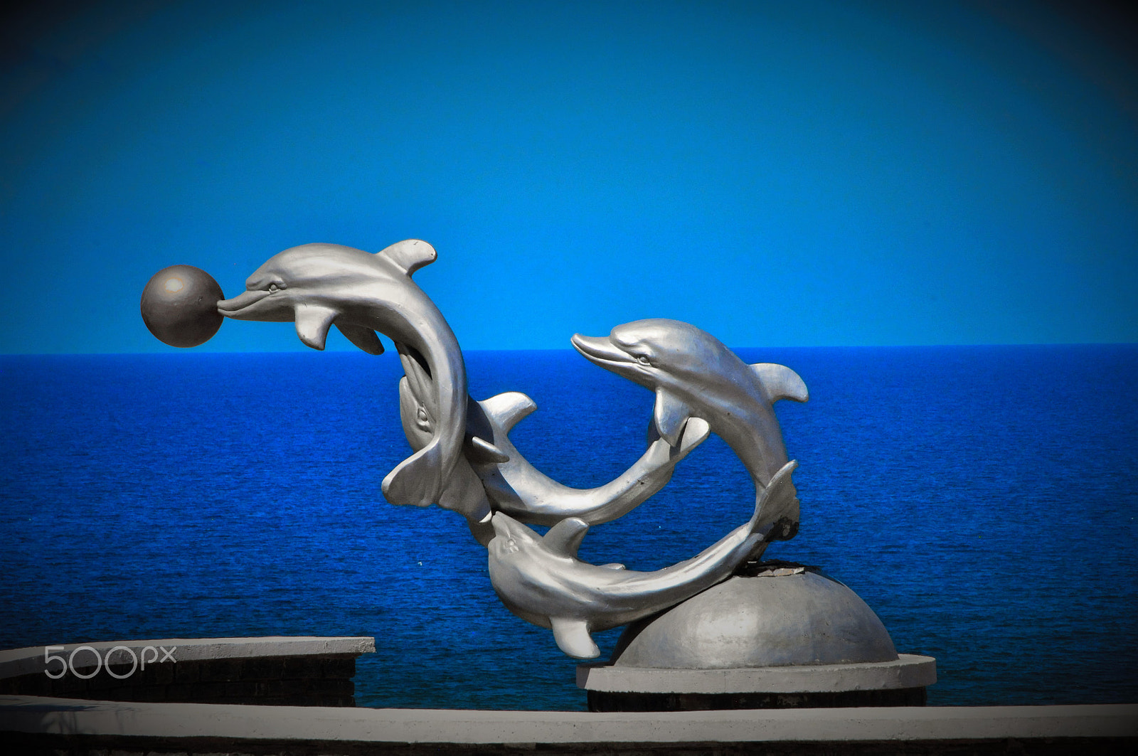 AF Zoom-Nikkor 24-120mm f/3.5-5.6D IF sample photo. Dolphine photography