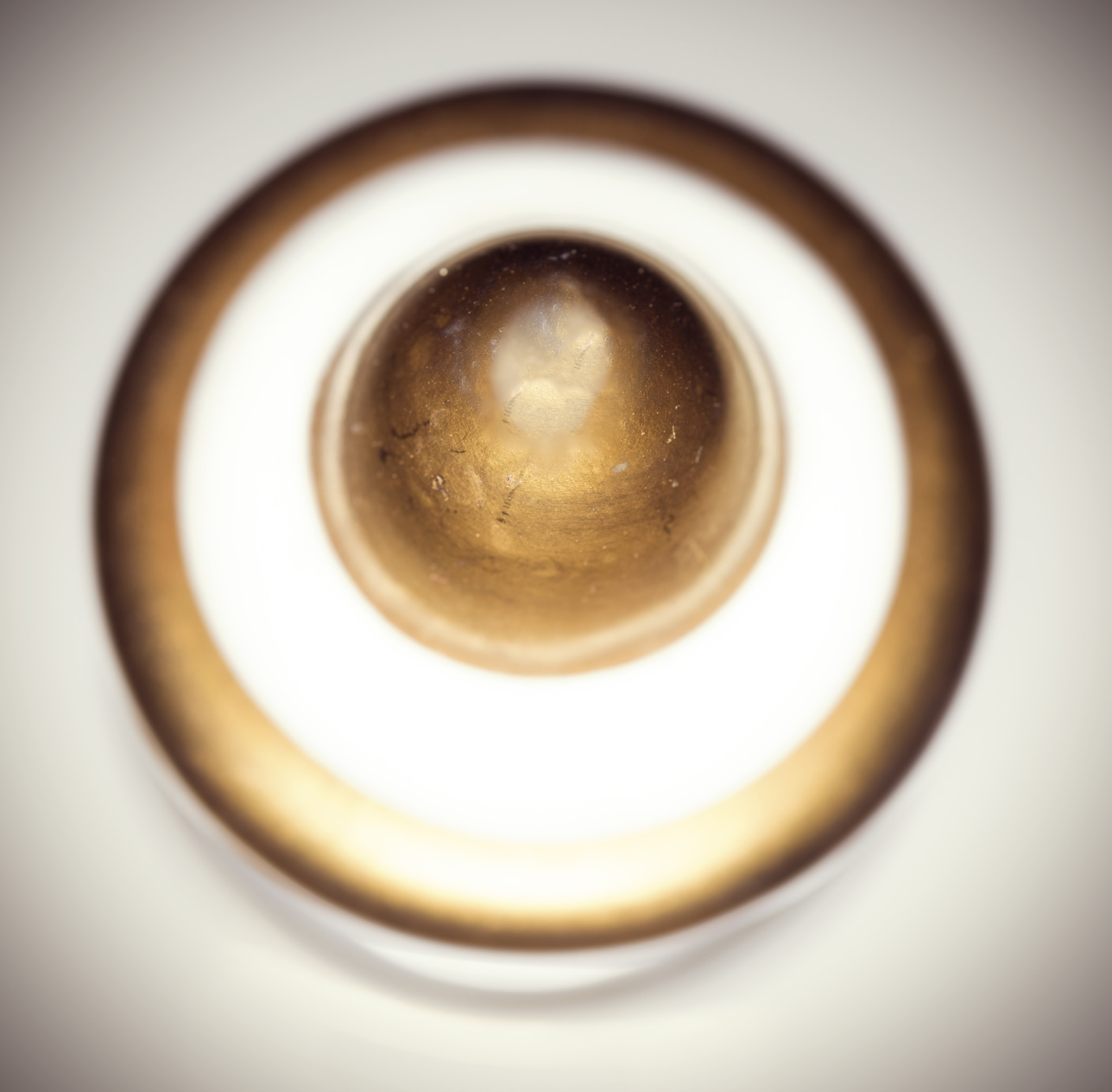 Nikon D810 + AF Micro-Nikkor 60mm f/2.8 sample photo. Macrolife photography