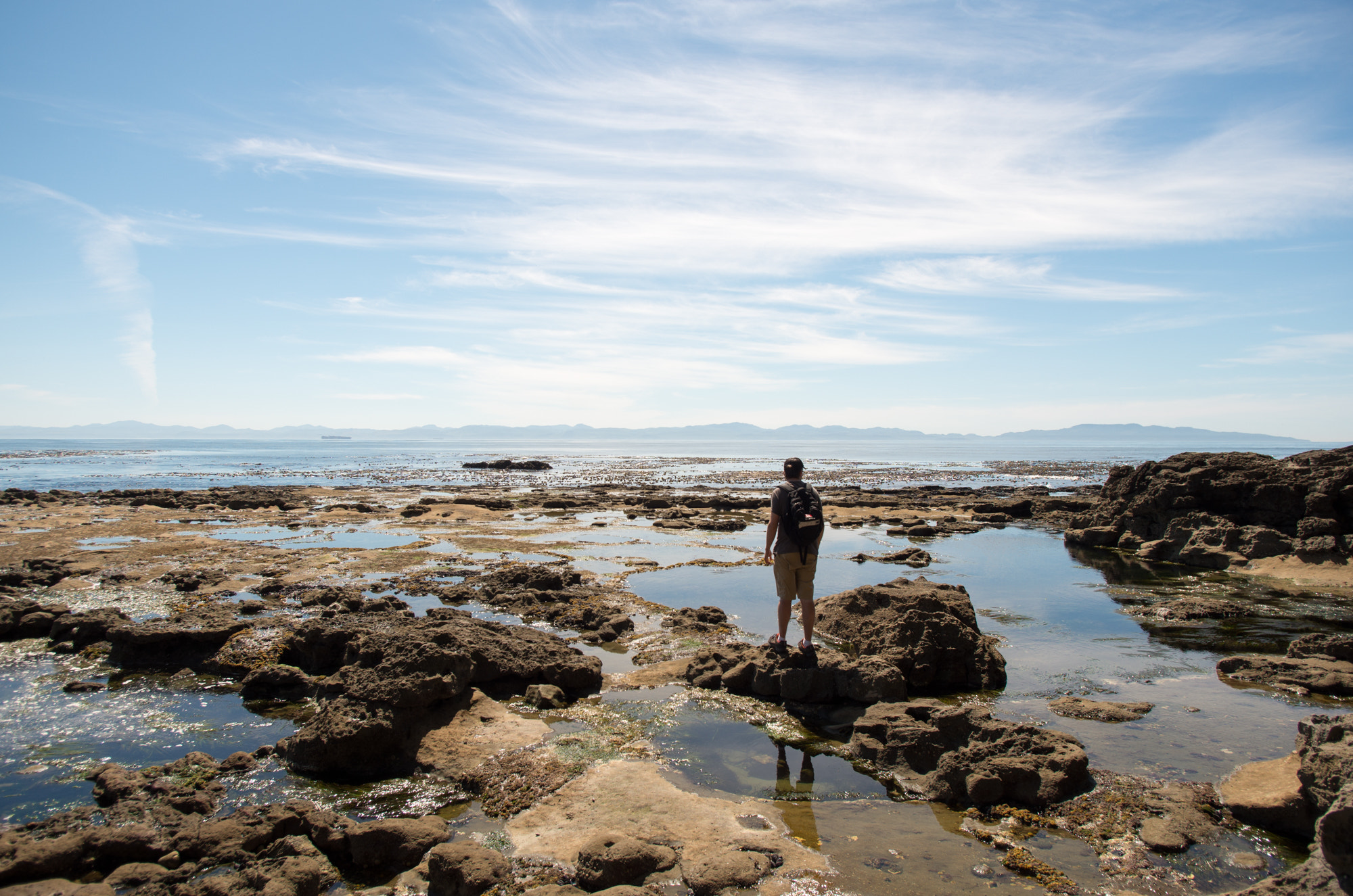 Pentax smc DA 15mm F4 ED AL Limited sample photo. Botanical beach photography