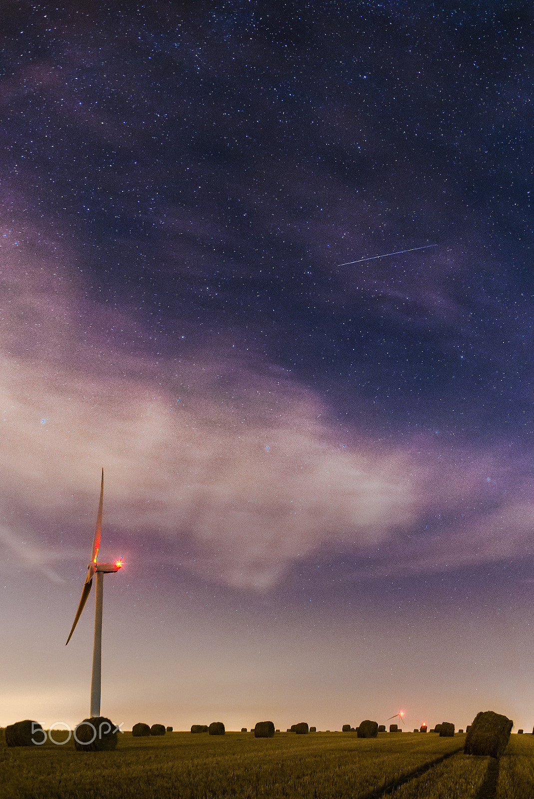 Nikon D600 sample photo. Guardians of the fields photography