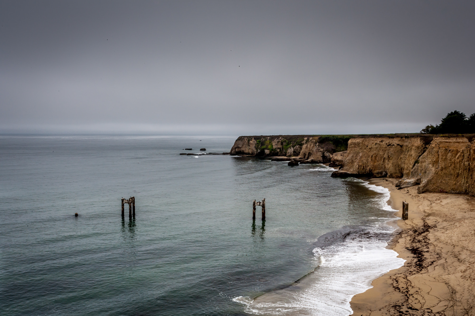 Canon EOS-1Ds Mark II sample photo. Morning fog photography
