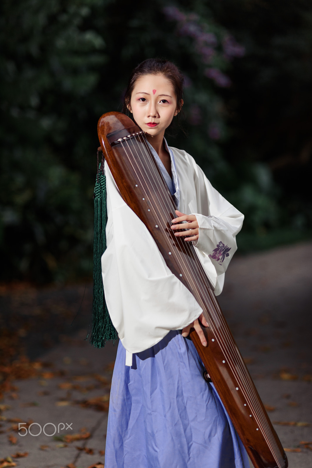 Nikon D750 + Nikon AF Nikkor 105mm F2D DC sample photo. Girl with ancient china dress and instrument photography