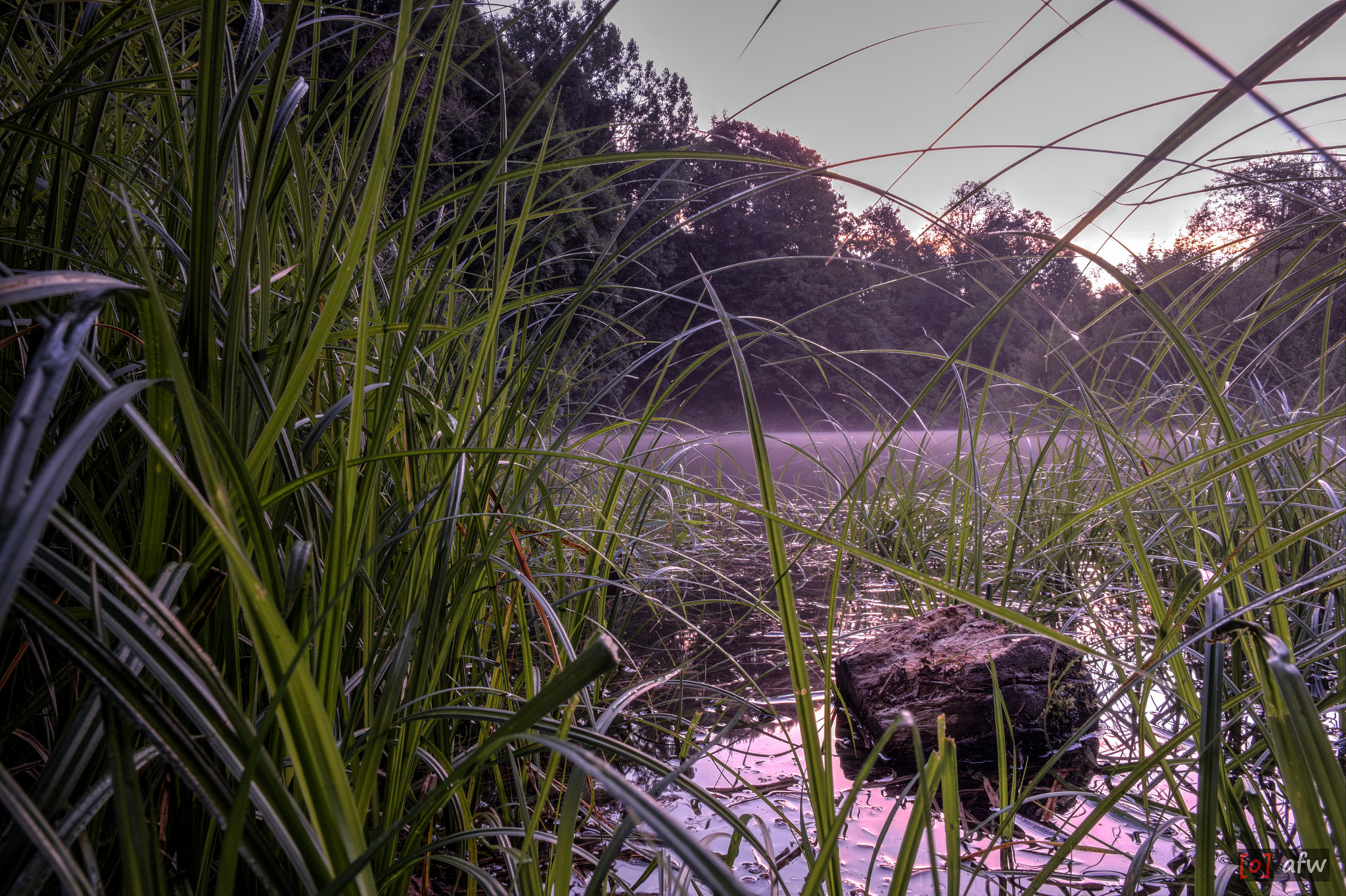 Samsung NX300M + Samsung NX 16mm F2.4 Pancake sample photo. Nebel auf dem albsee 3/3 photography