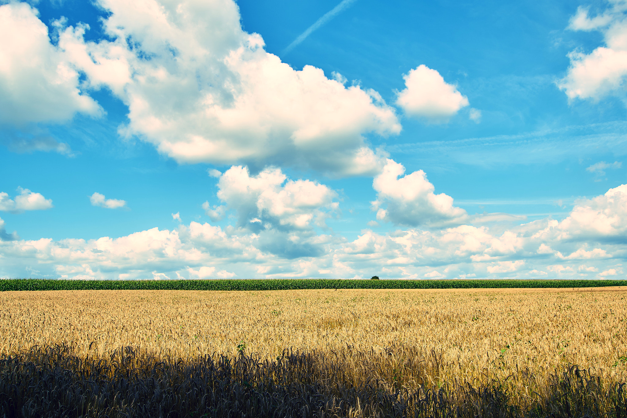 Sony ILCA-77M2 + 10-20mm F3.5 sample photo. Countryside photography