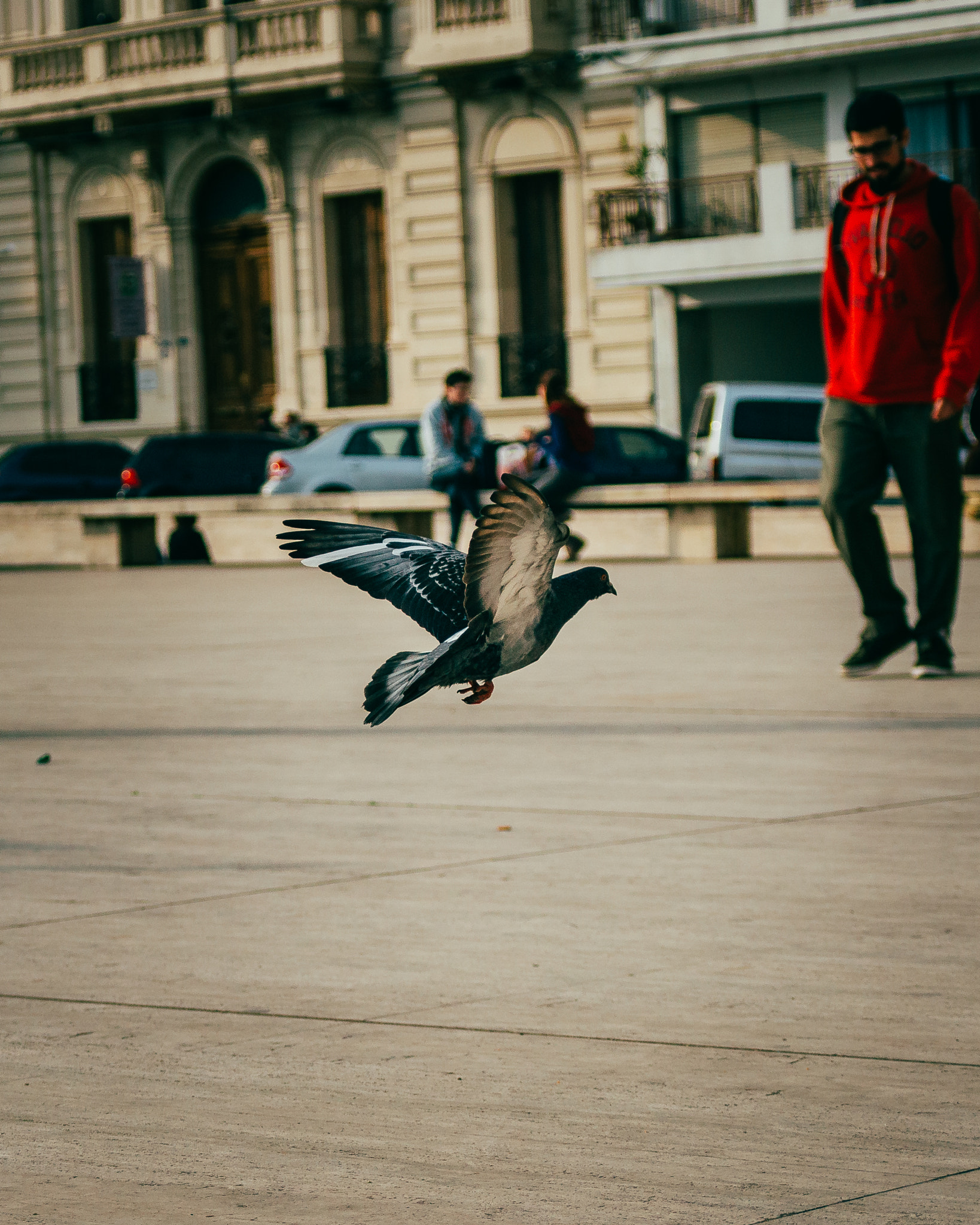 AF Zoom-Nikkor 35-70mm f/3.3-4.5 N sample photo. Liberty photography