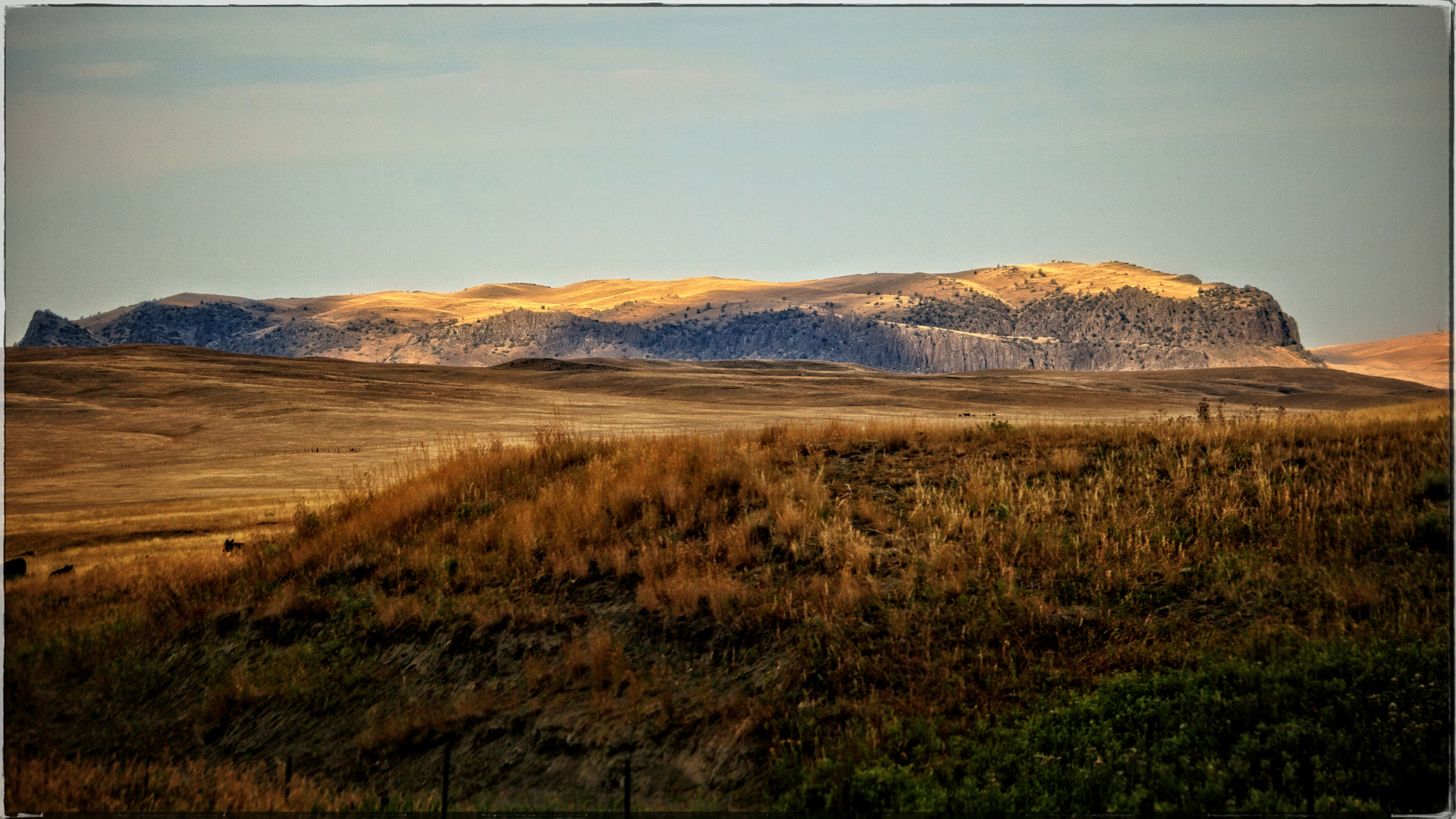 Canon EOS 760D (EOS Rebel T6s / EOS 8000D) + Canon EF-S 55-250mm F4-5.6 IS STM sample photo. Montana grasslands photography