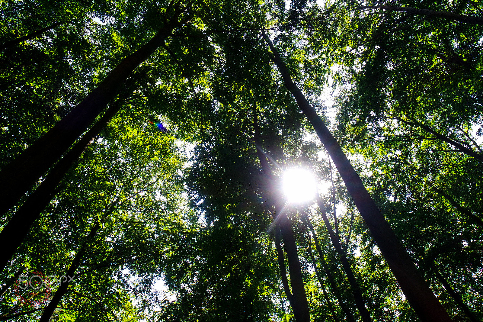 Samsung NX mini sample photo. Oben photography
