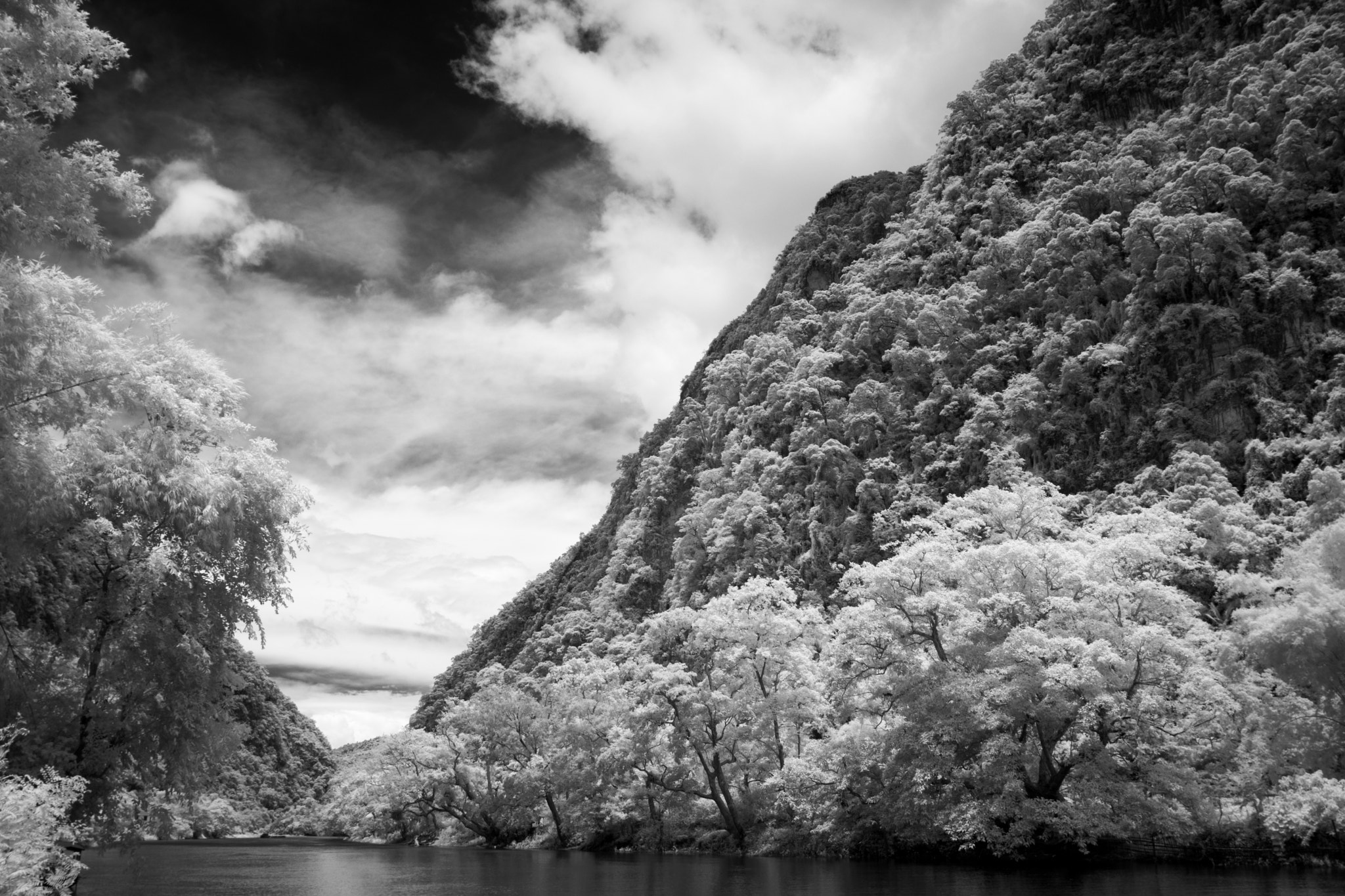 Nikon D5200 + Nikon AF-S Nikkor 20mm F1.8G ED sample photo. Infrared jungle photography