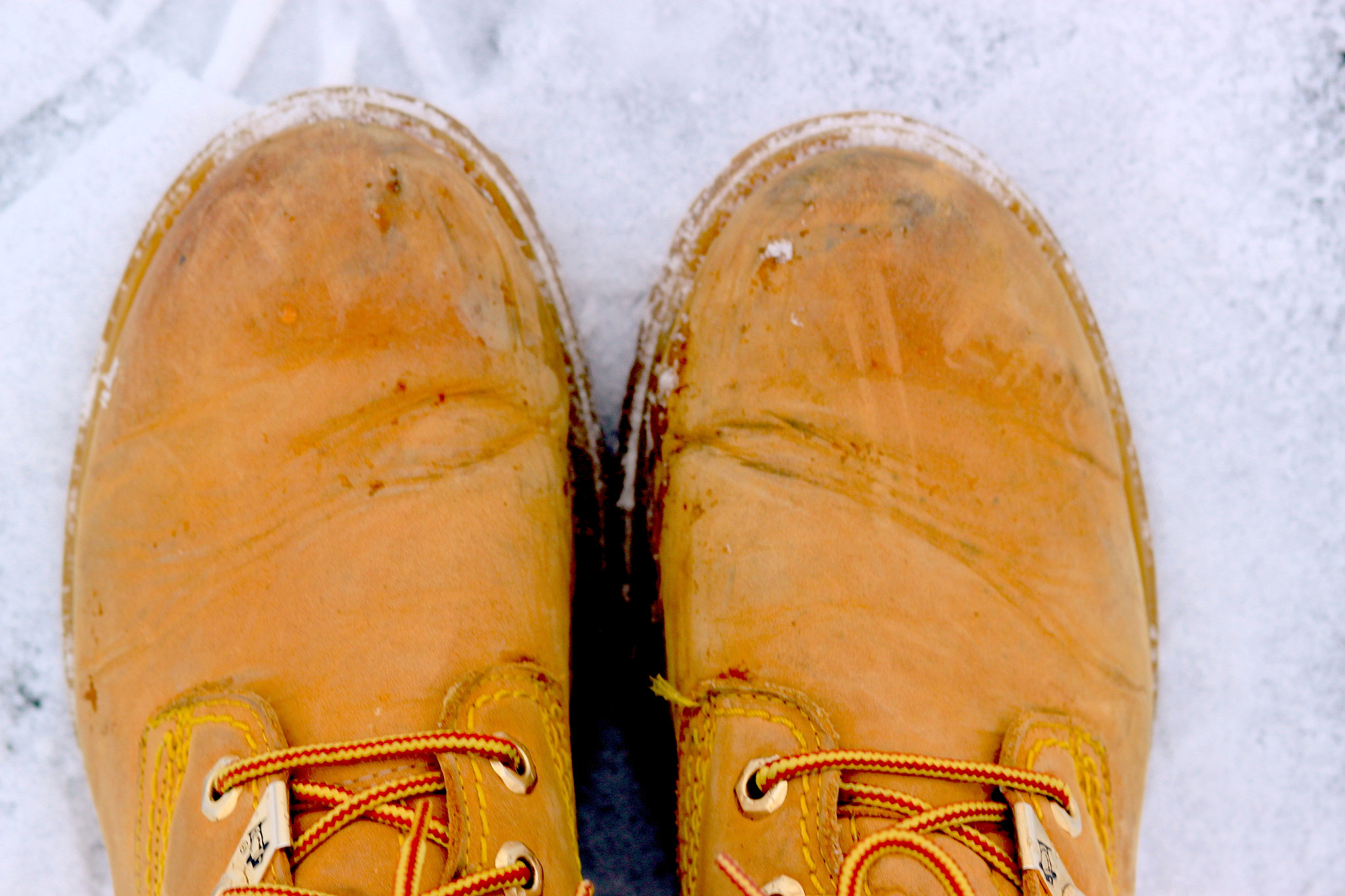Canon EOS 500D (EOS Rebel T1i / EOS Kiss X3) + Canon EF 85mm F1.8 USM sample photo. Yellow shoes photography