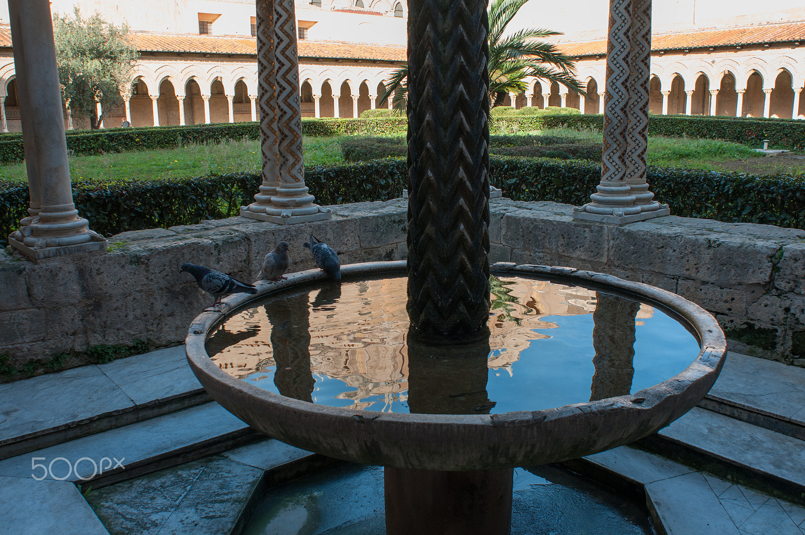 Nikon D300 + Nikon AF Nikkor 20mm F2.8D sample photo. Monreale cloister fountain photography