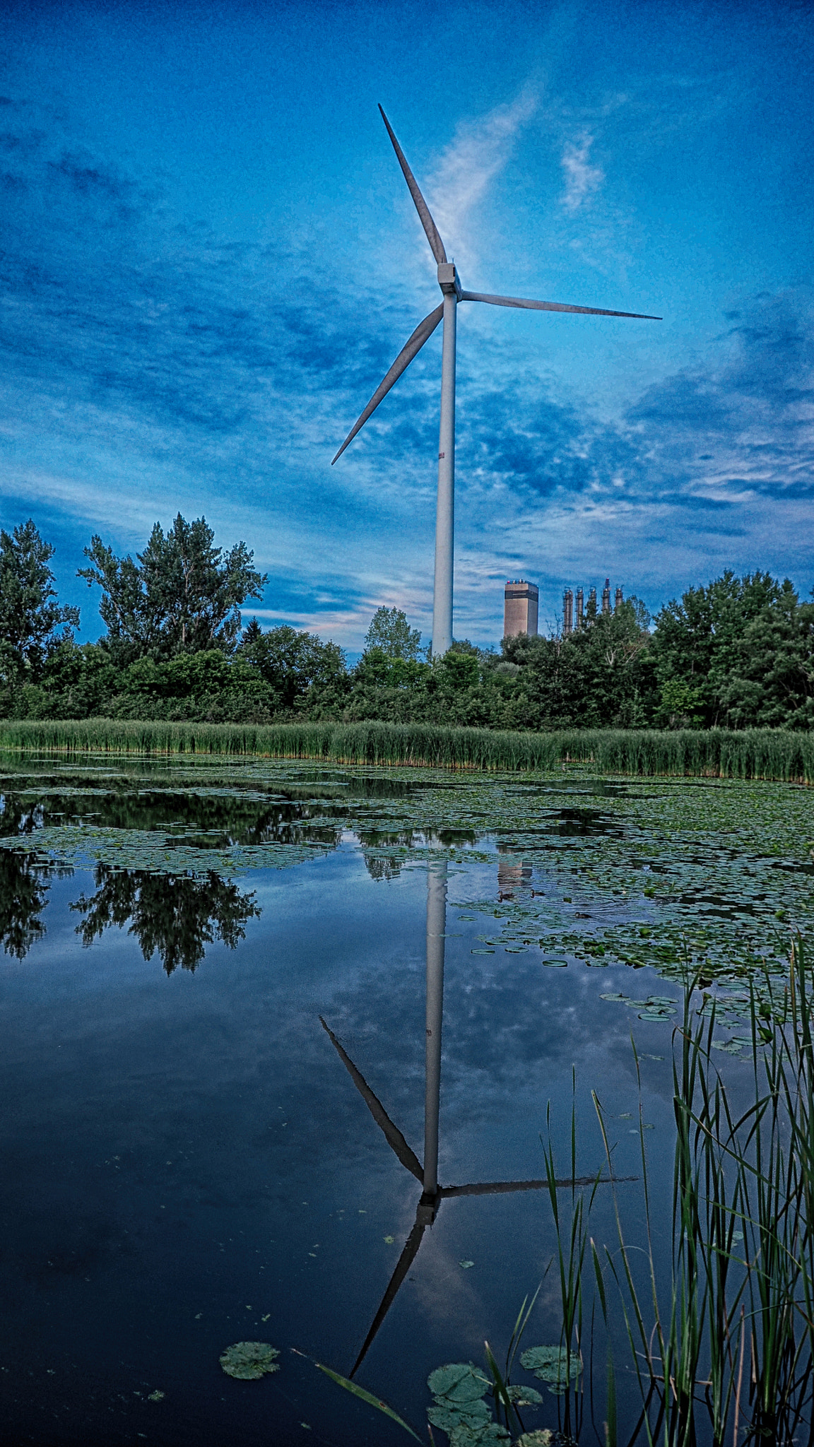 OLYMPUS M.12-50mm F3.5-6.3 sample photo. Windmill photography
