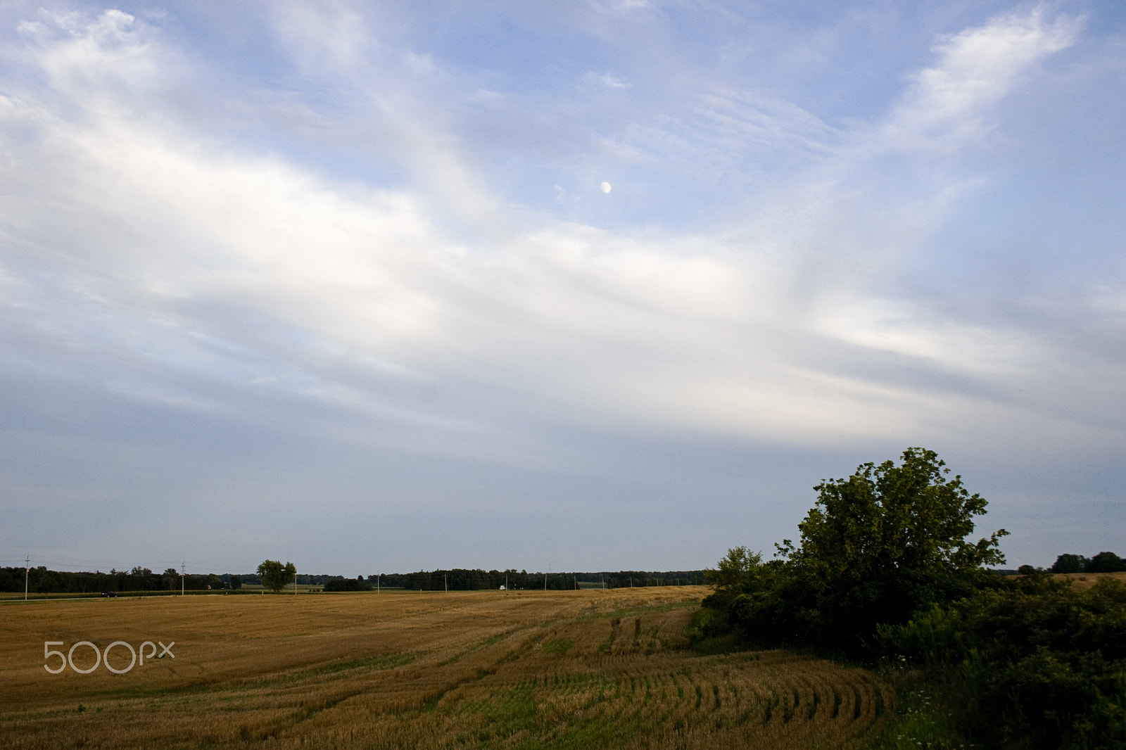 Canon EOS 30D sample photo. Moon over field photography