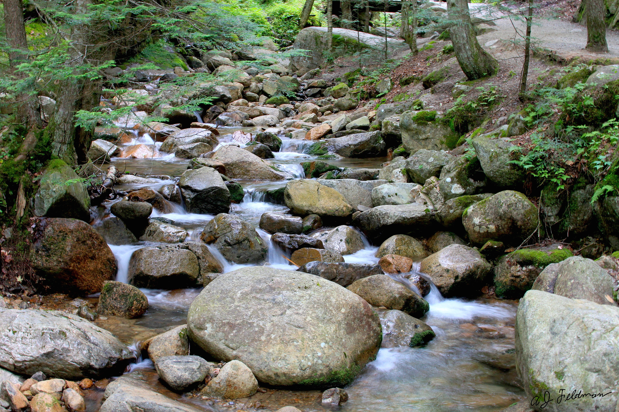 Canon EF 28-135mm F3.5-5.6 IS USM sample photo. Flume gorge photography