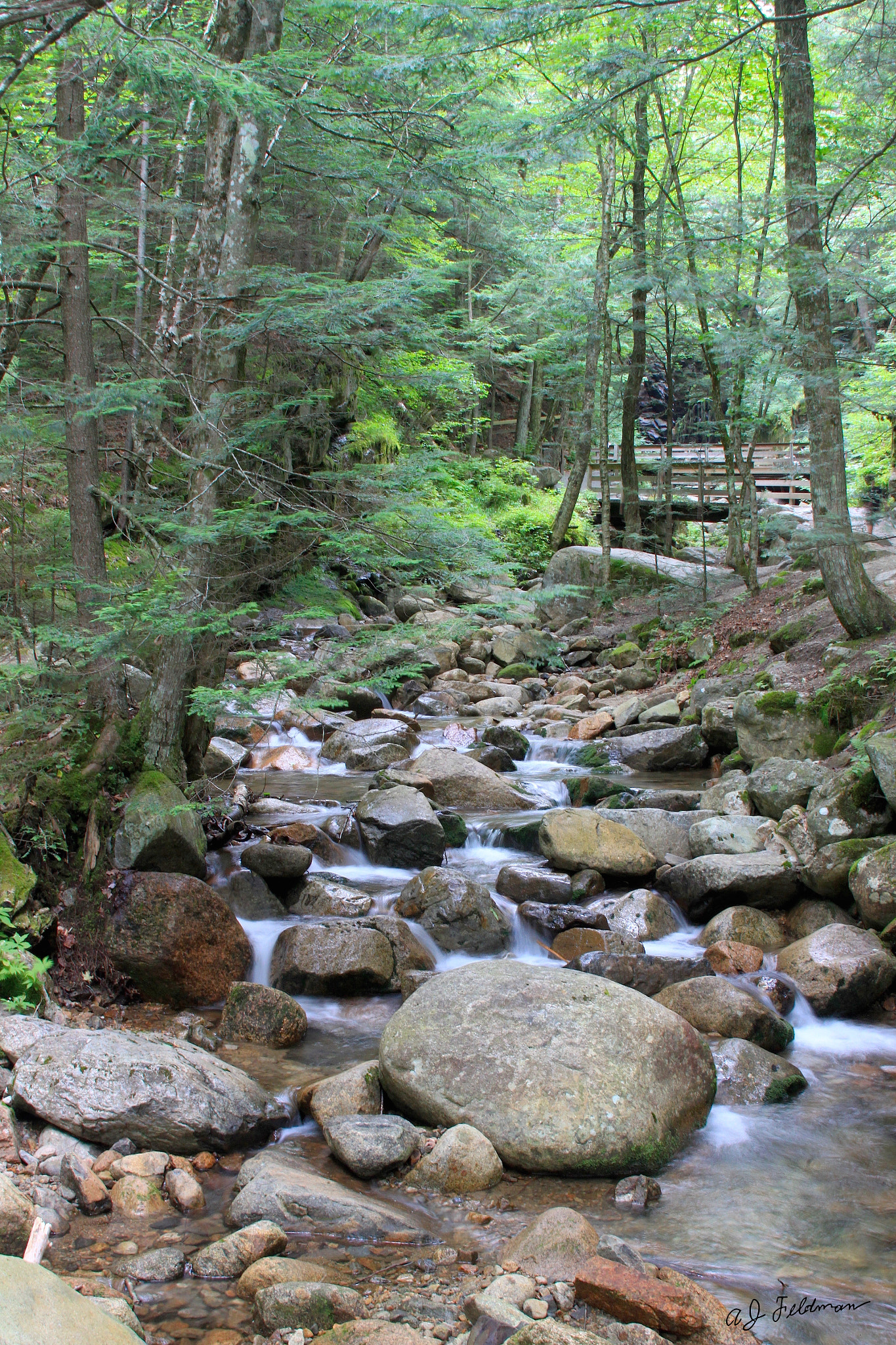 Canon EF 28-135mm F3.5-5.6 IS USM sample photo. Flume gorge wide angle vertical photography