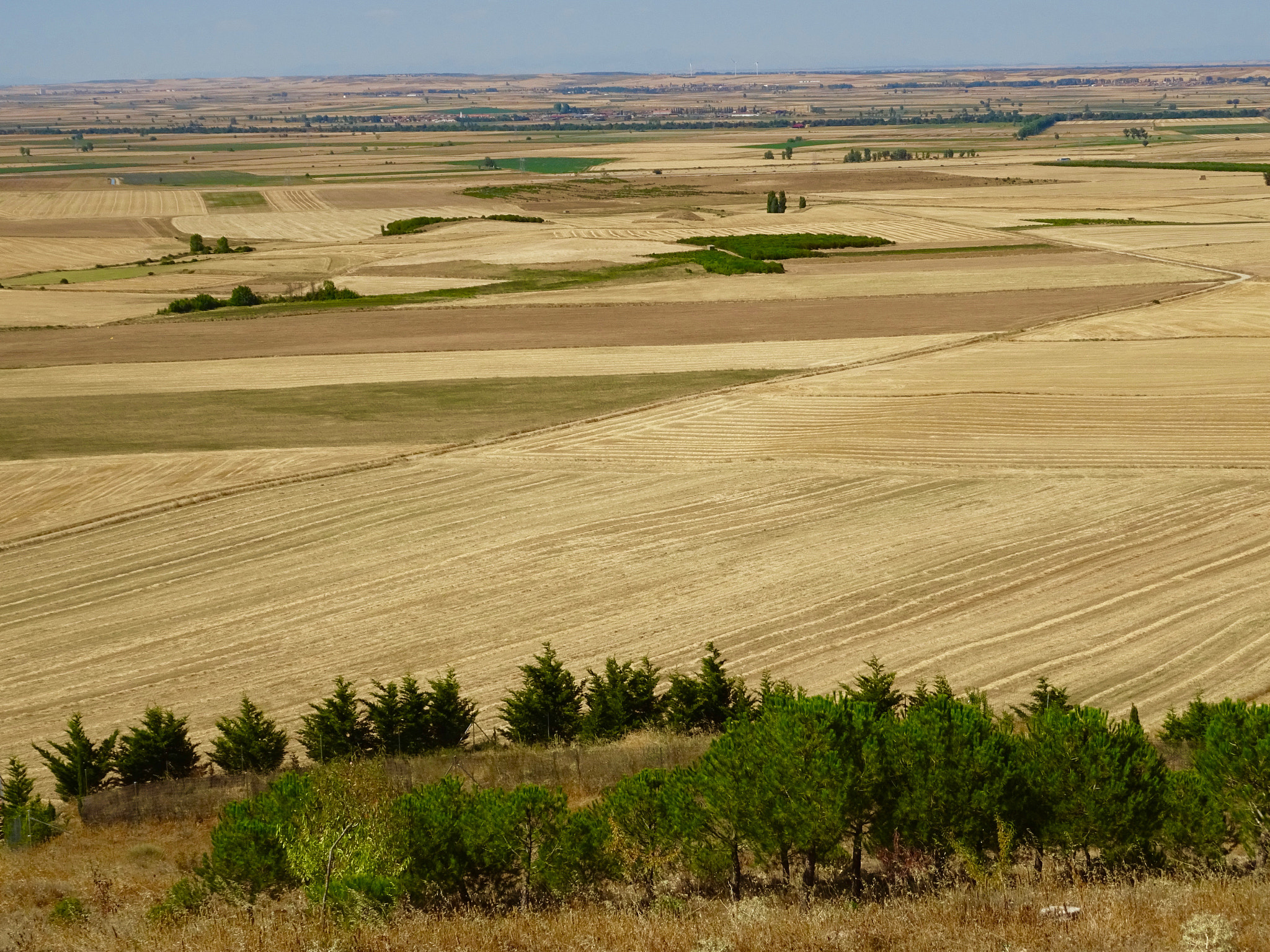 Sony DSC-HX60V + Sony 24-720mm F3.5-6.3 sample photo. Campos de autilla del pino. photography