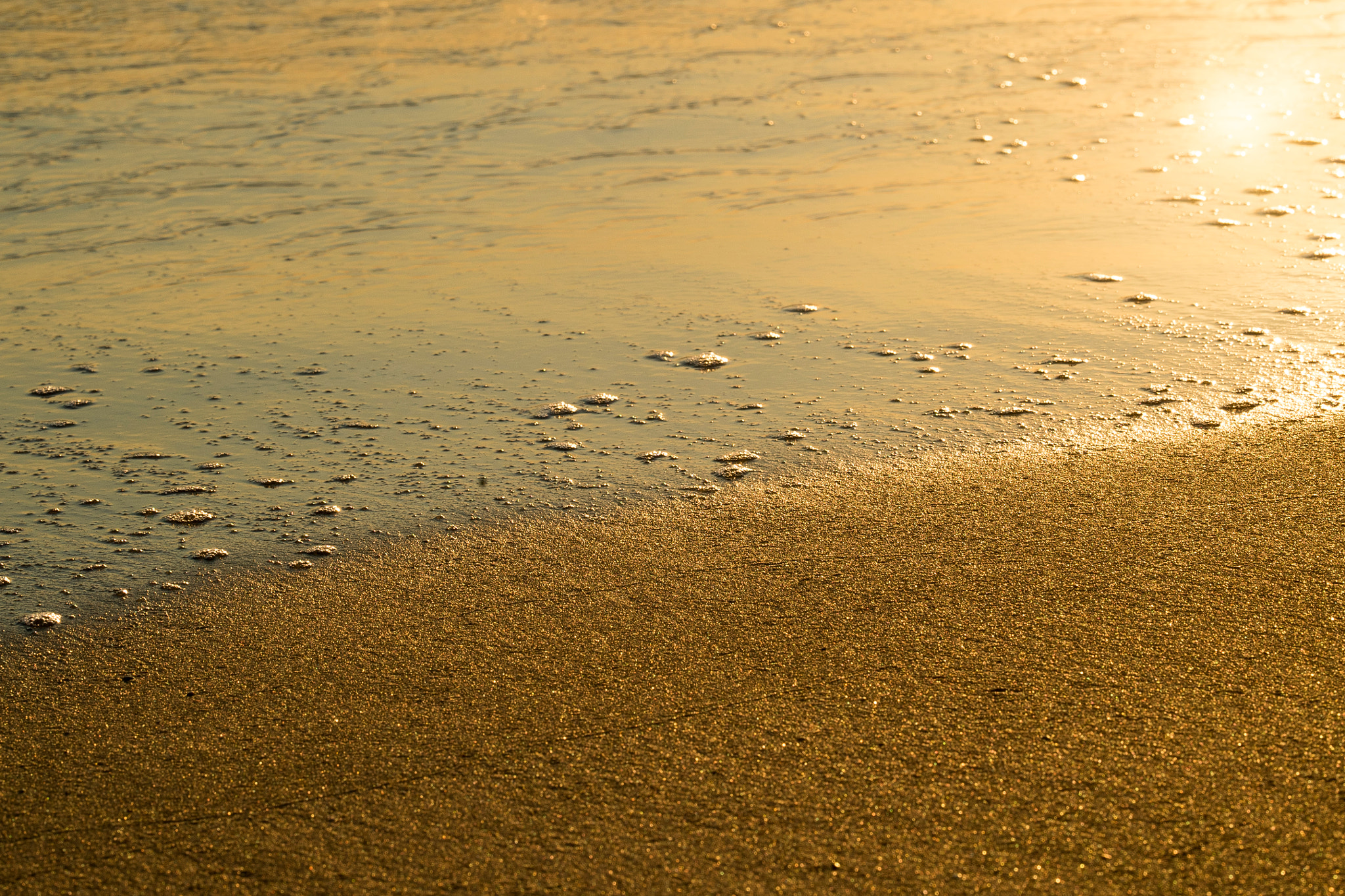 Sony Sonnar T* 135mm F1.8 ZA sample photo. 974.jpg photography