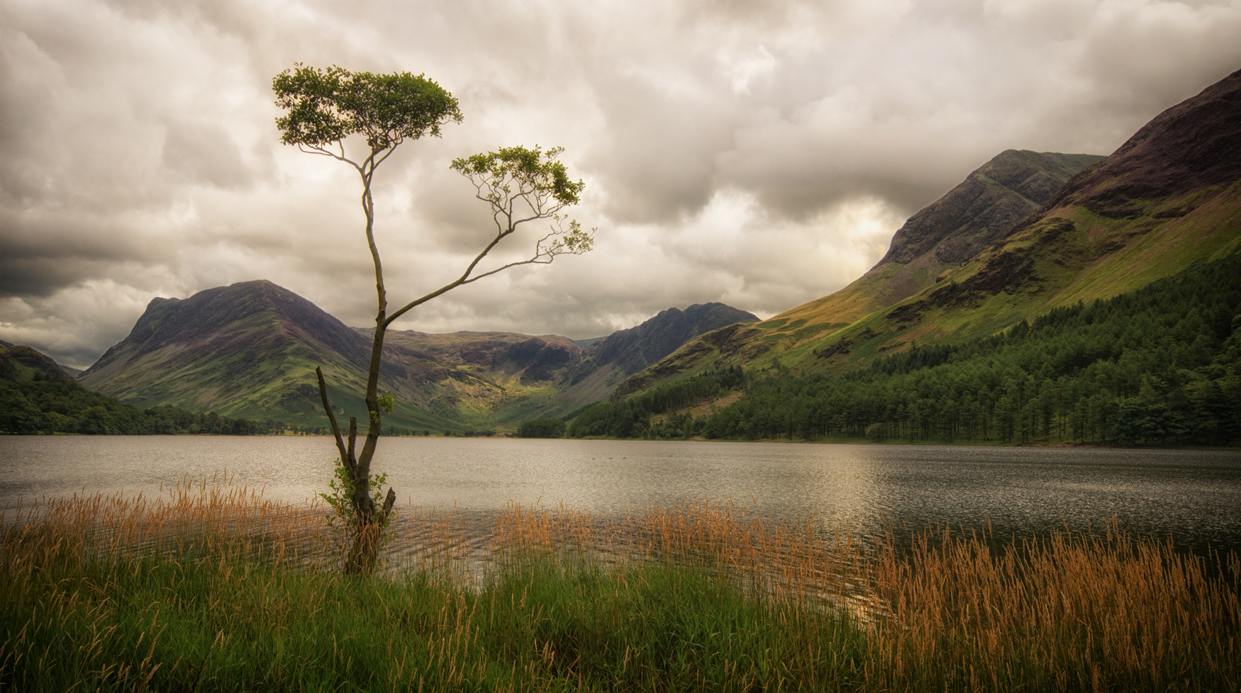 Pentax K-S2 sample photo. Buttermere - lone tree photography