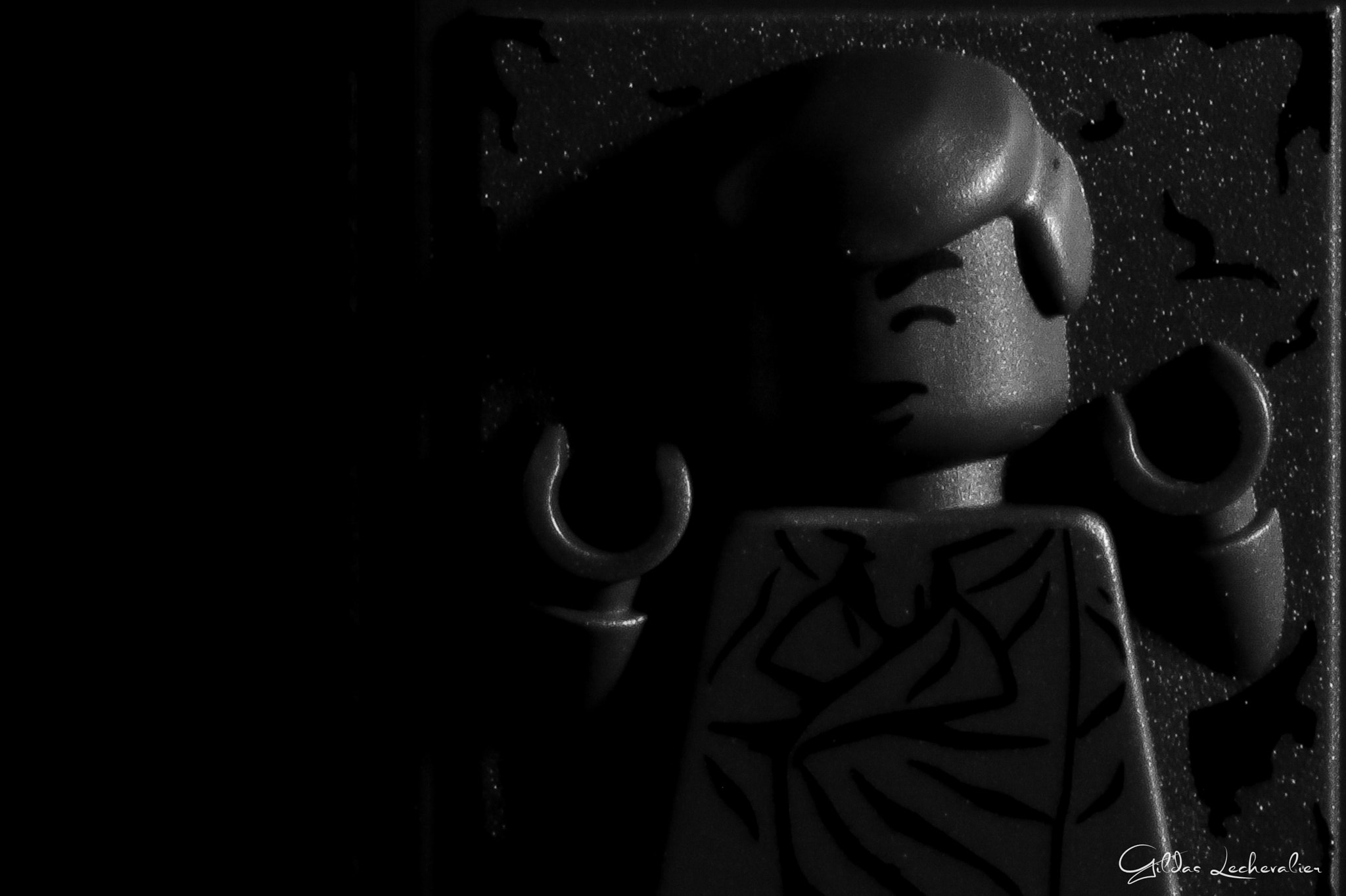 Canon EF 100mm F2.8 Macro USM sample photo. Han solo photography