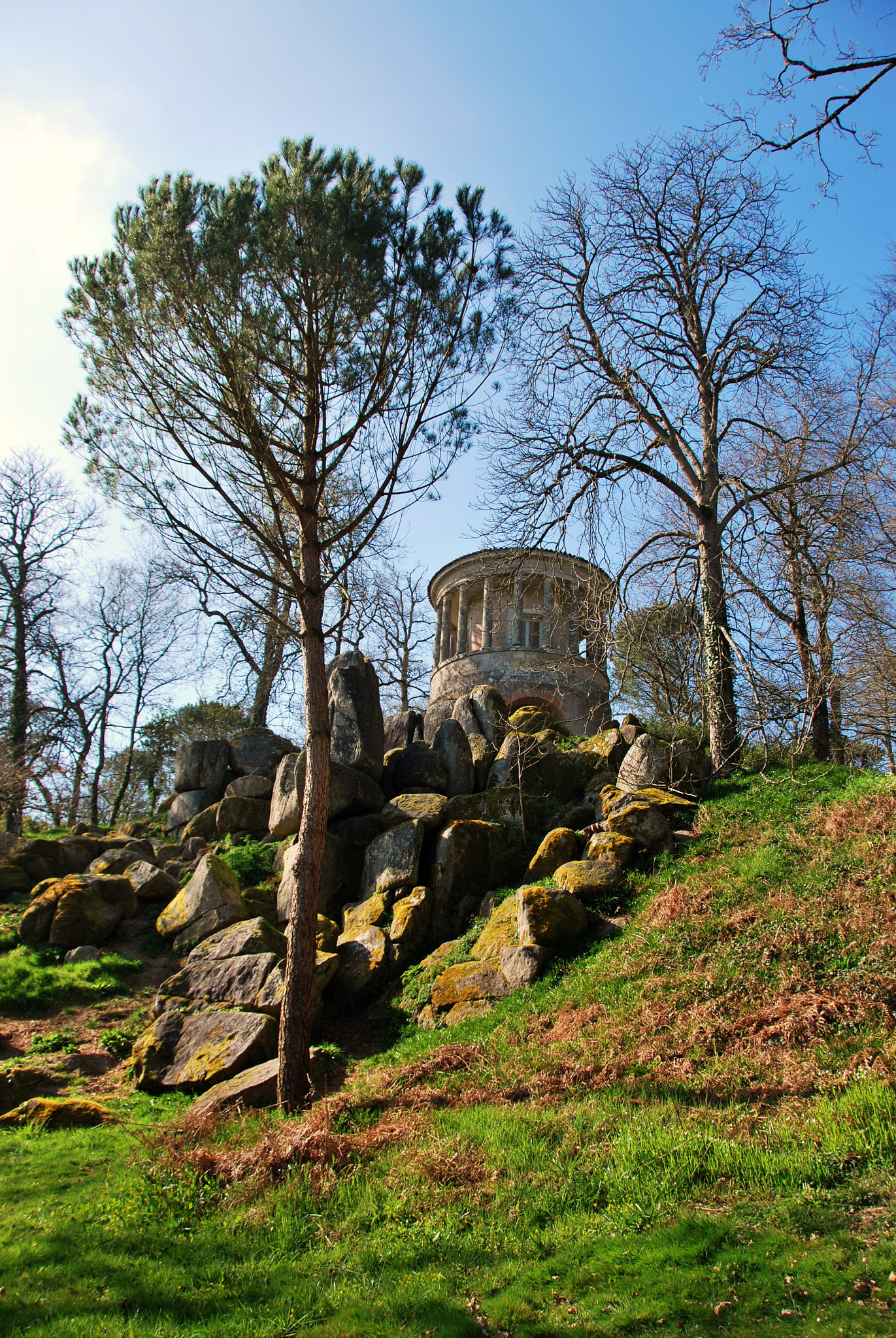 Nikon D60 sample photo. Clisson photography