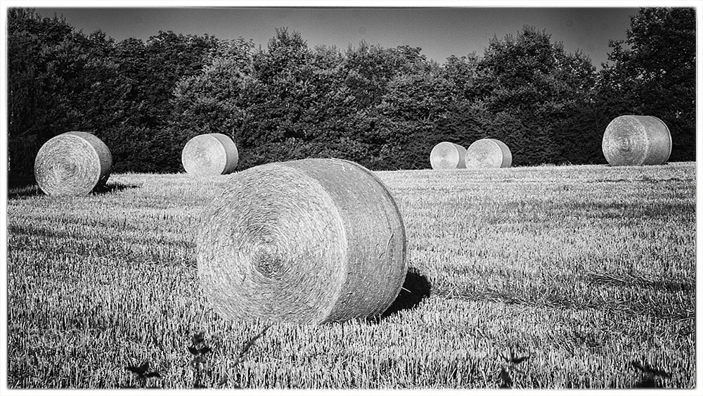 Fujifilm X-E2 + Fujifilm XF 90mm F2 R LM WR sample photo. Cylinder on the field photography