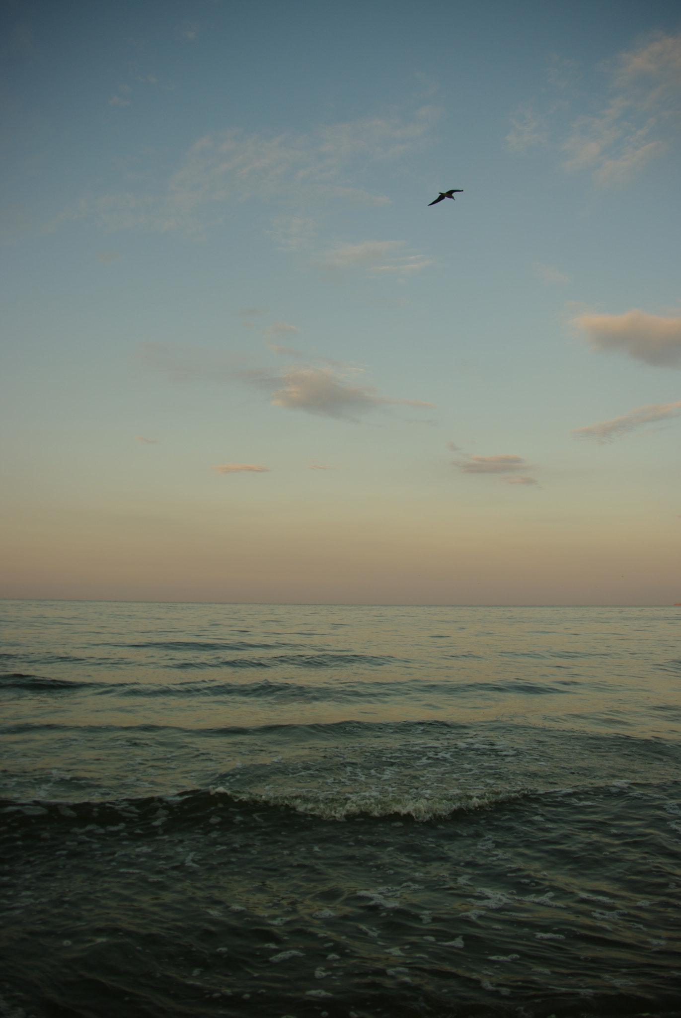 Pentax K20D sample photo. . photography