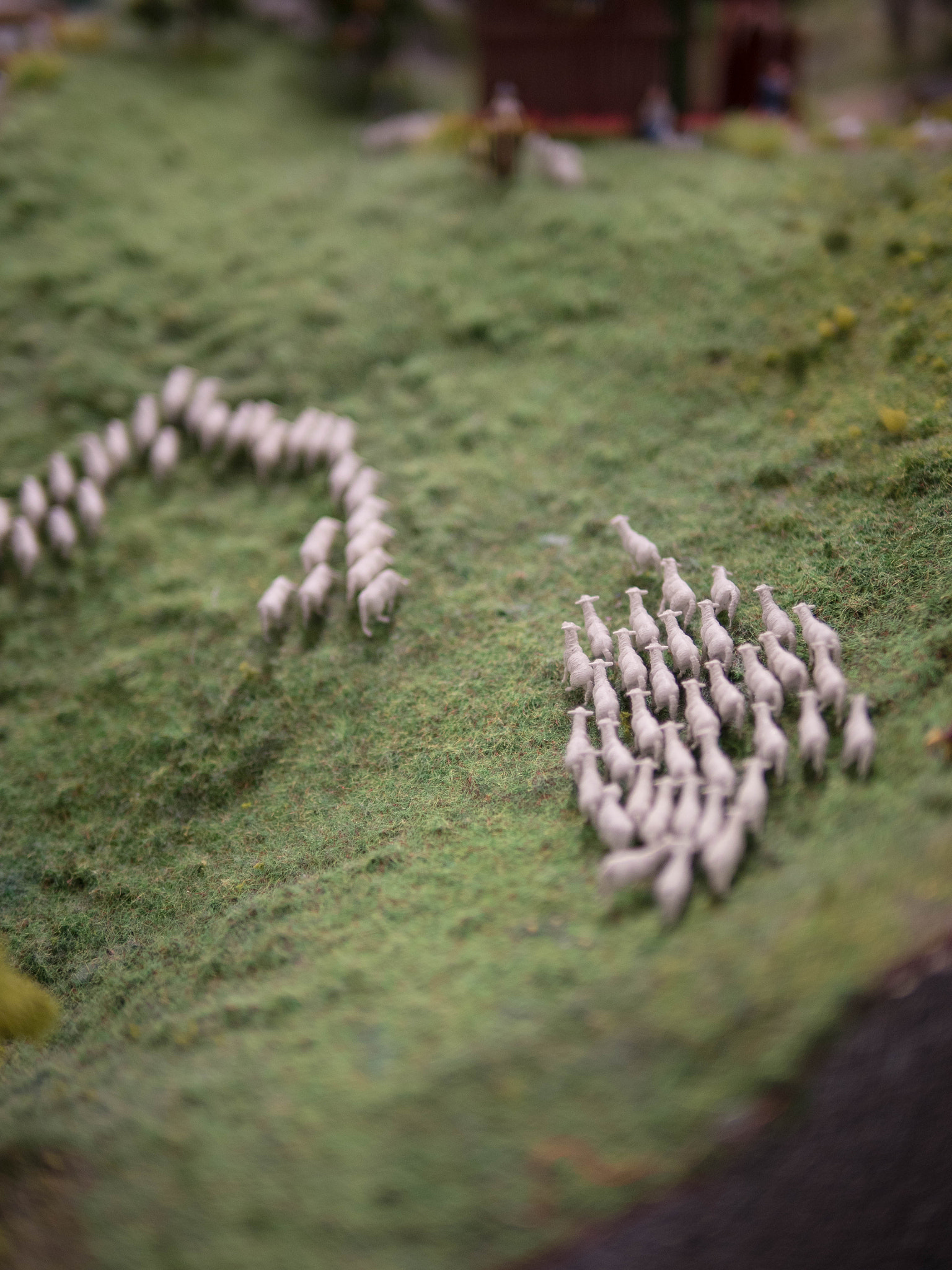 Panasonic Lumix DMC-GH4 + Panasonic Leica DG Summilux 25mm F1.4 II ASPH sample photo. Model sheeps on hill photography