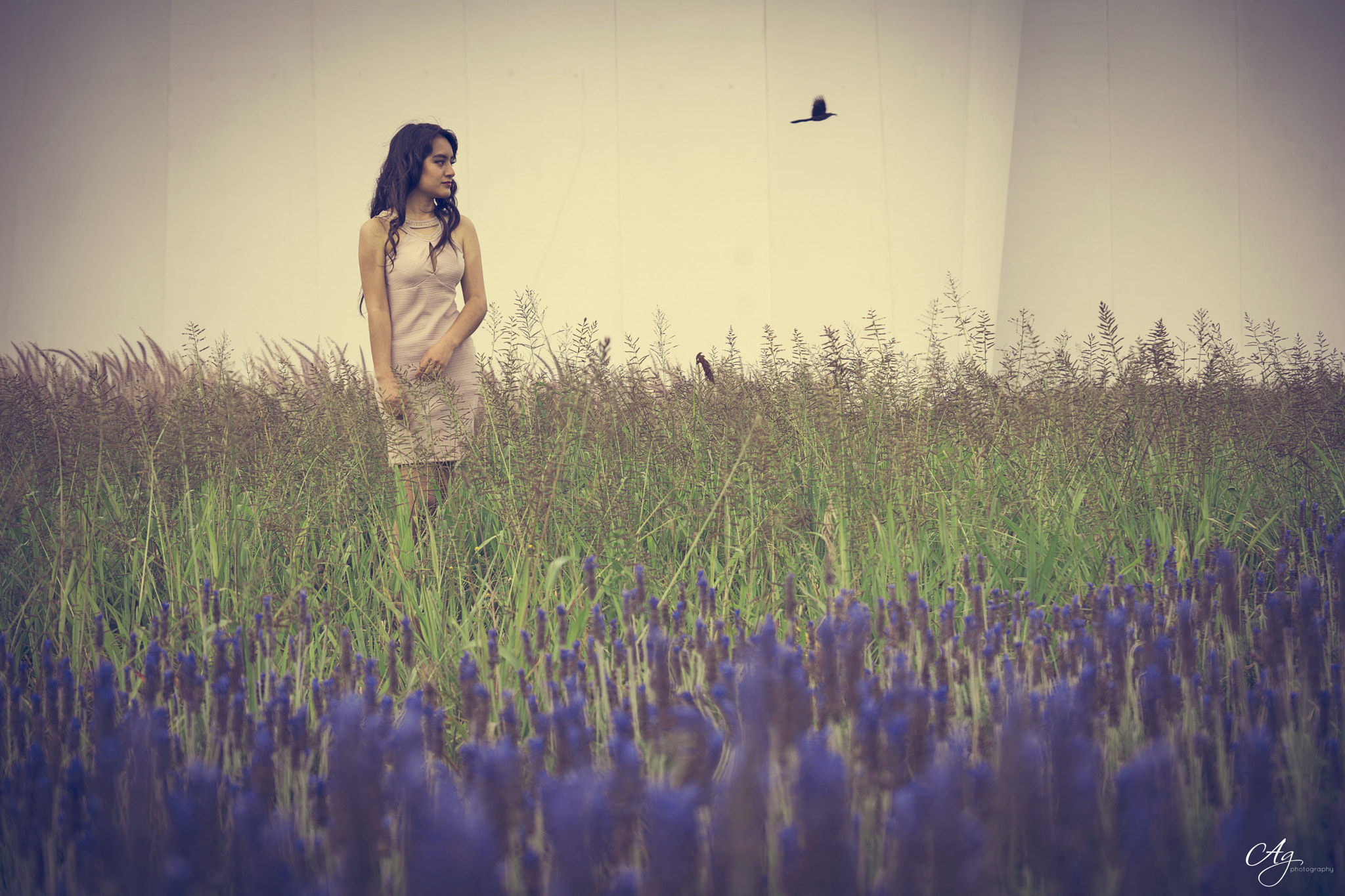 Sony a6000 + Sony DT 16-50mm F2.8 SSM sample photo. Nicole photography