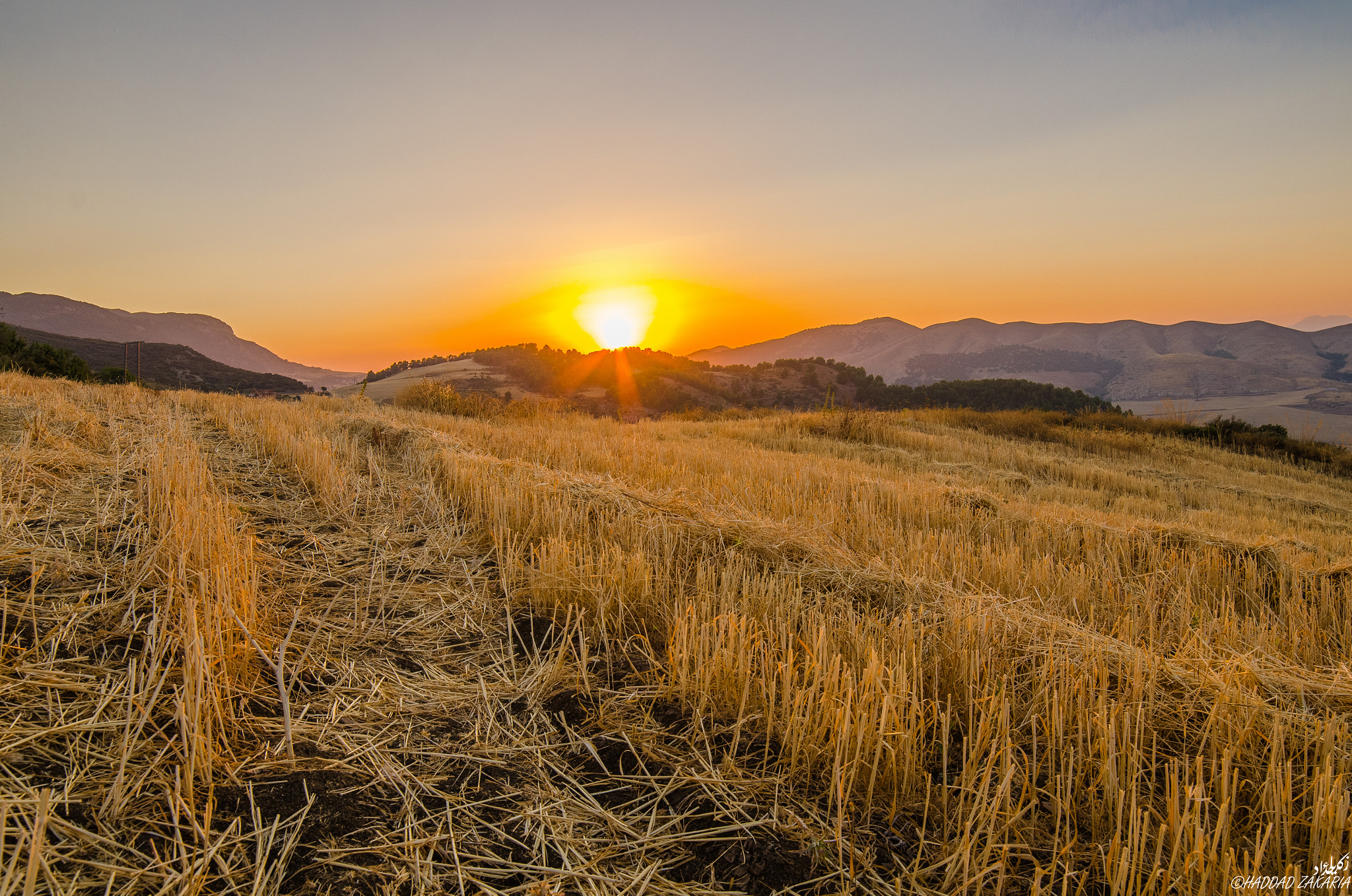 Samyang 14mm F2.8 ED AS IF UMC sample photo. Sunset in the field photography