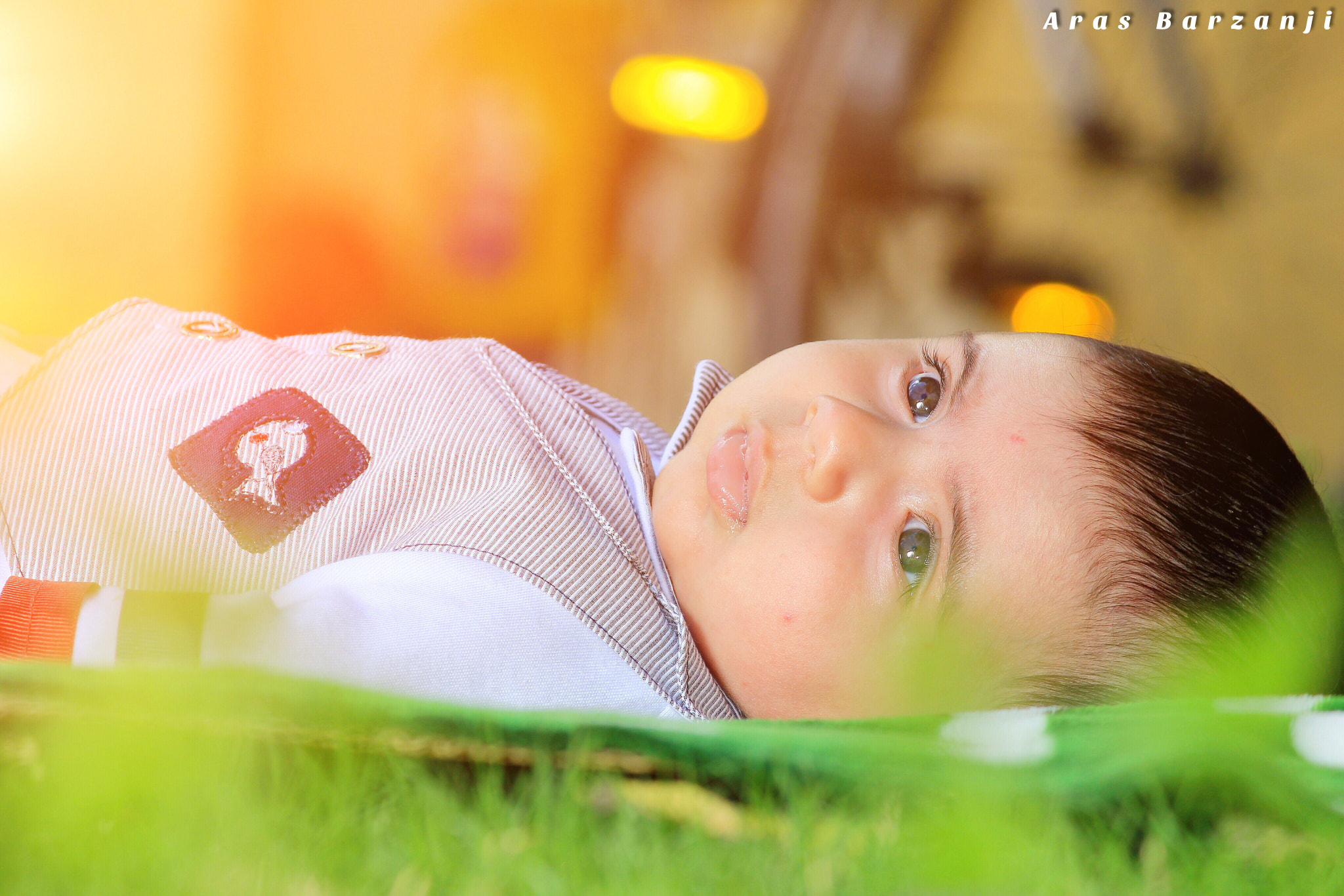 Canon EF-S 55-250mm F4-5.6 IS II sample photo