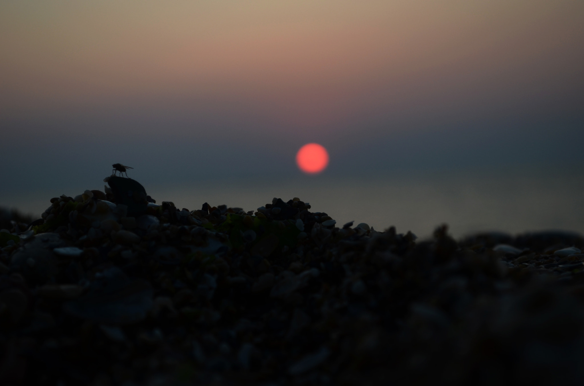 Nikon AF-S Nikkor 70-200mm F4G ED VR sample photo. Sunrise photography