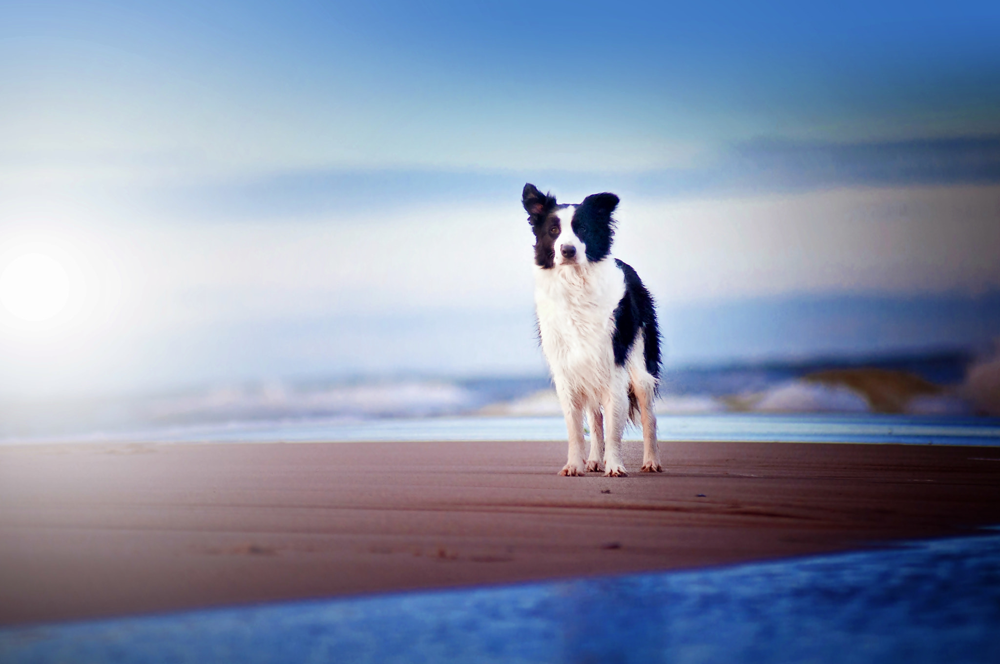 AF Zoom-Nikkor 80-200mm f/2.8 ED sample photo. Horizon photography