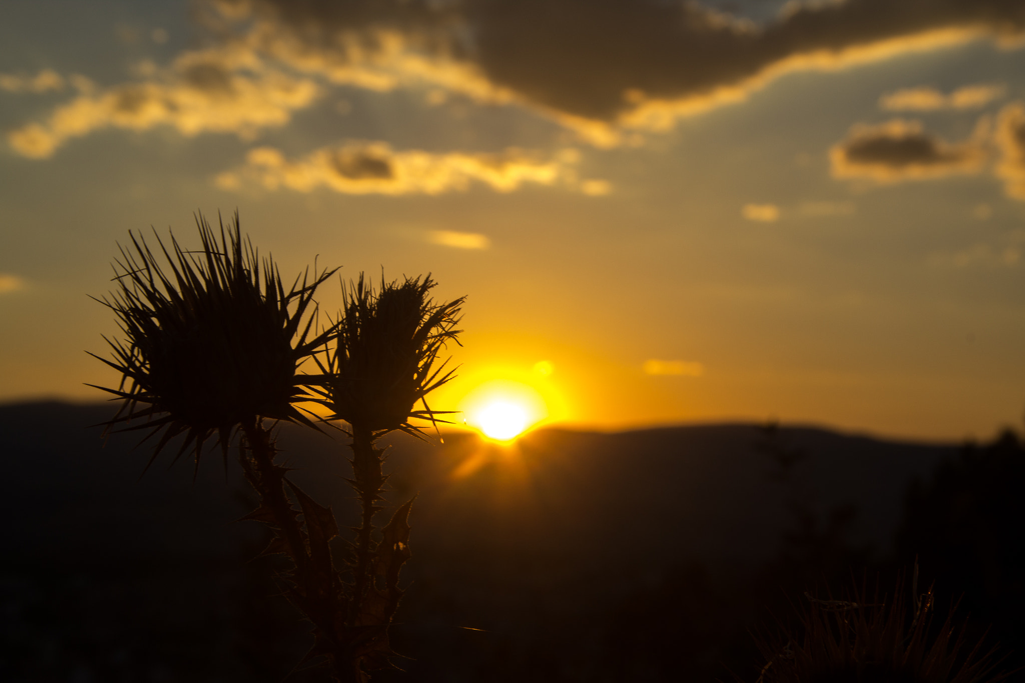 Canon EF-S 17-85mm F4-5.6 IS USM sample photo