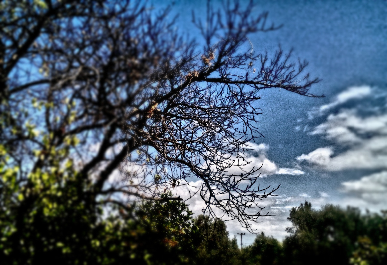Lenovo A5500-H sample photo