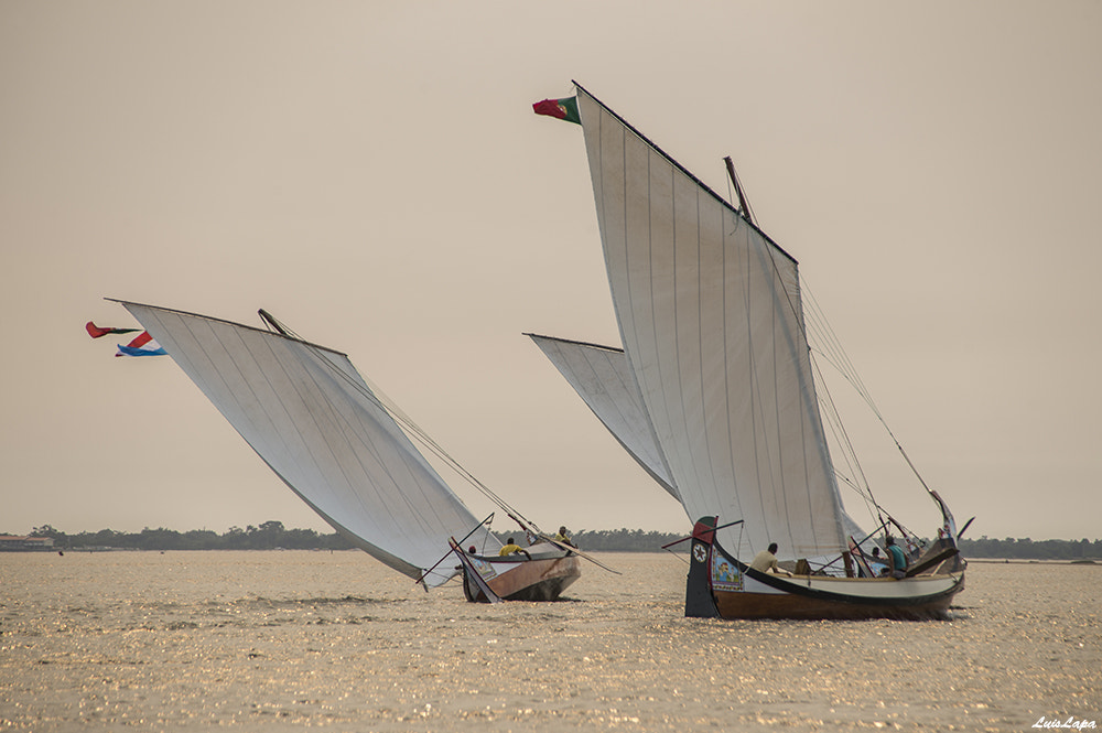 Nikon D600 sample photo. Copy photography