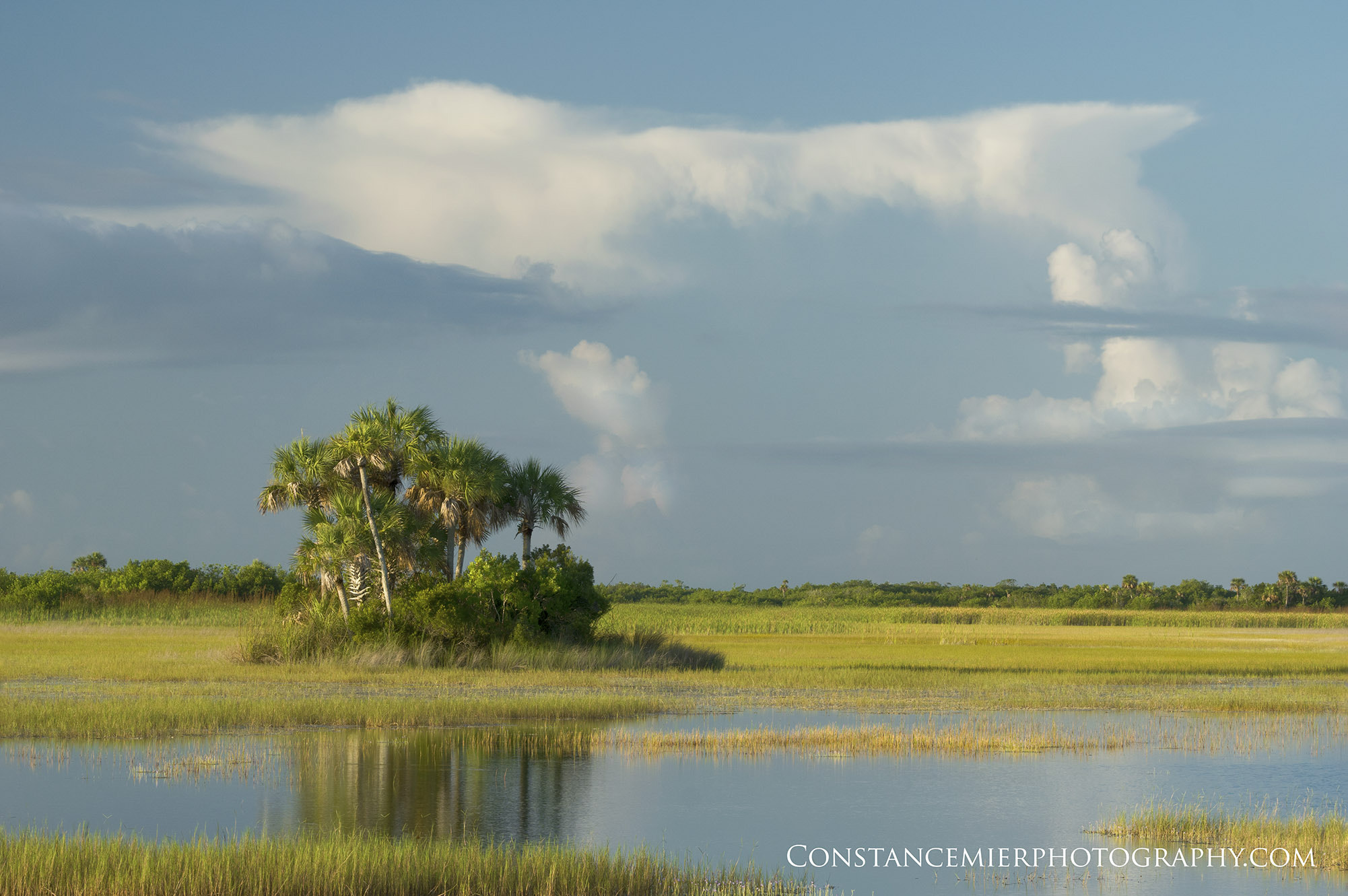 Sony ILCA-77M2 + Sony 70-400mm F4-5.6 G SSM sample photo. Tamiami trail scene photography