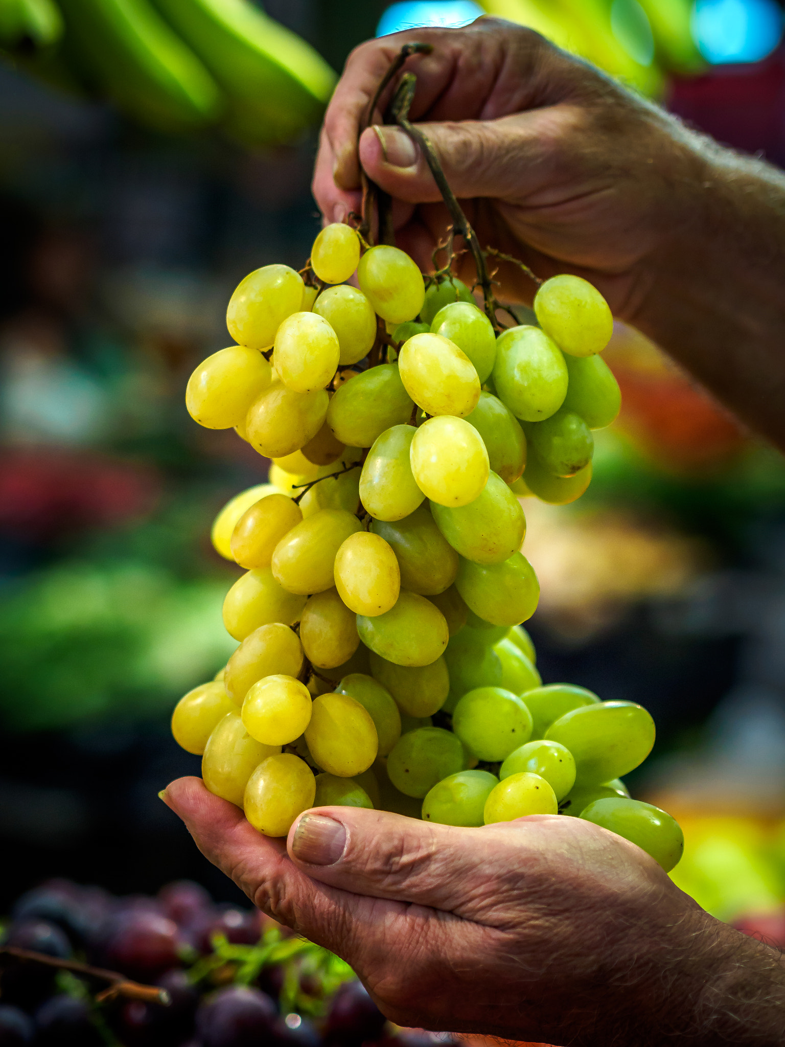 Olympus PEN E-P5 + Olympus M.Zuiko Digital 45mm F1.8 sample photo. Grapes in the market photography