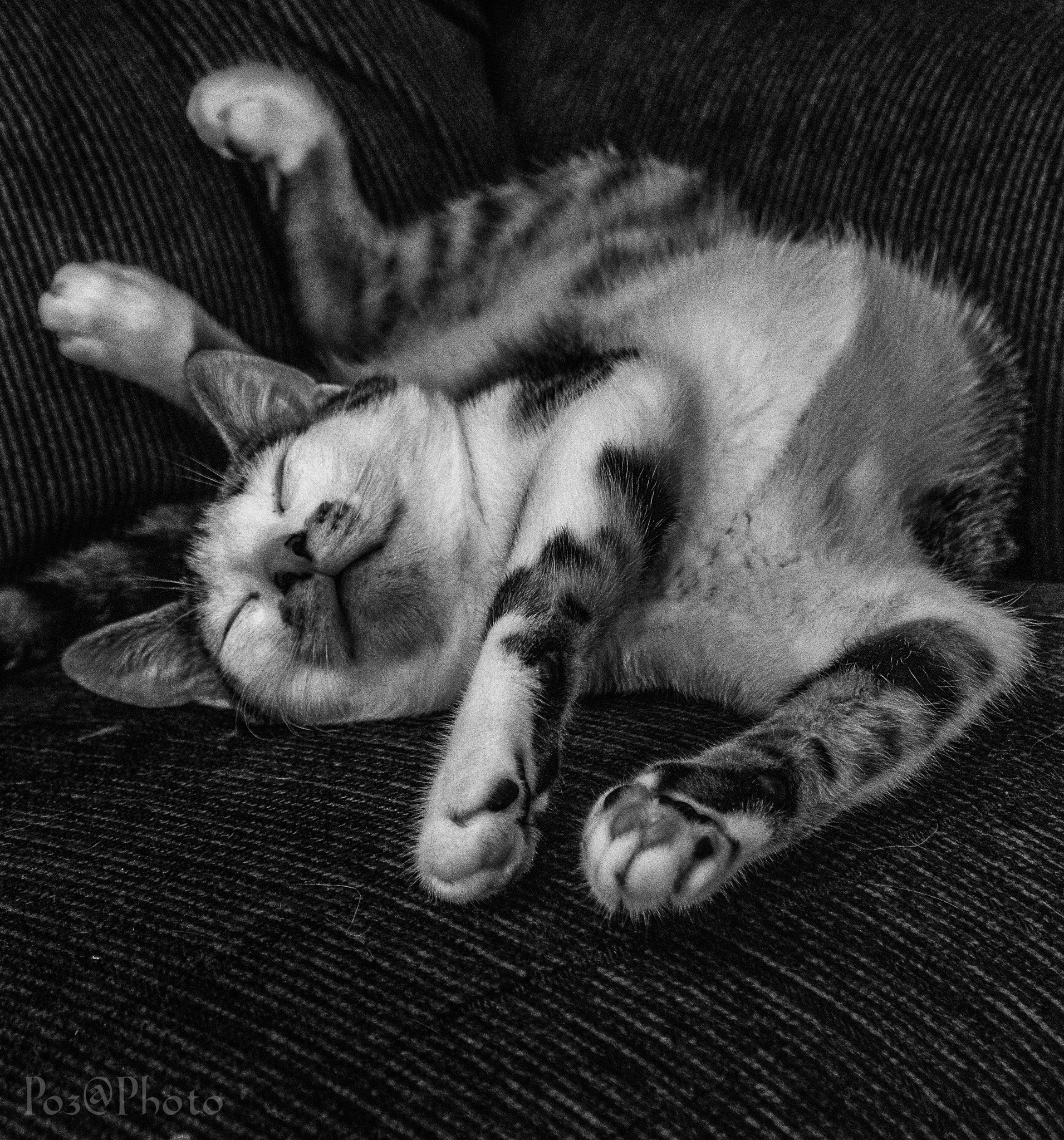 OLYMPUS M.12-50mm F3.5-6.3 sample photo. Chandler..really love here photography