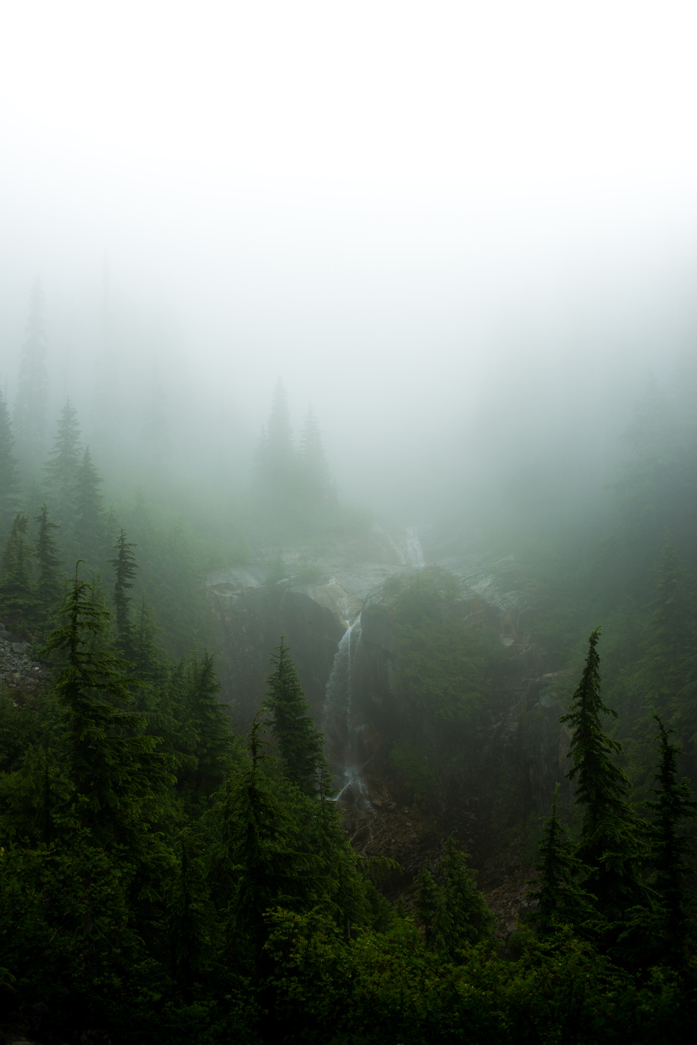 ZEISS Distagon T* 28mm F2 sample photo. Hikes like this are amazing. the fog was radiating ... photography