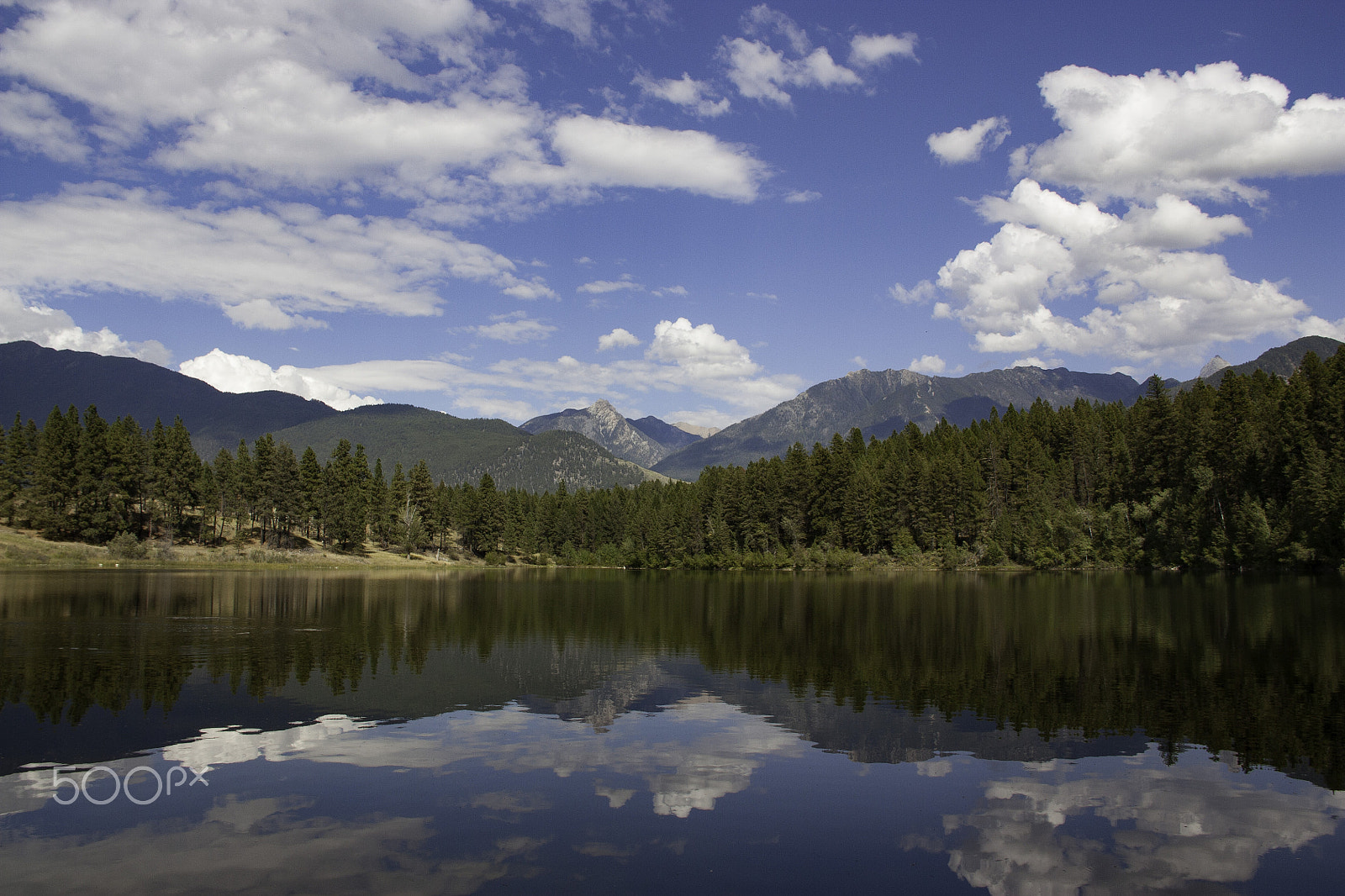 Canon EOS 450D (EOS Rebel XSi / EOS Kiss X2) sample photo. Reflections at campbell lake photography
