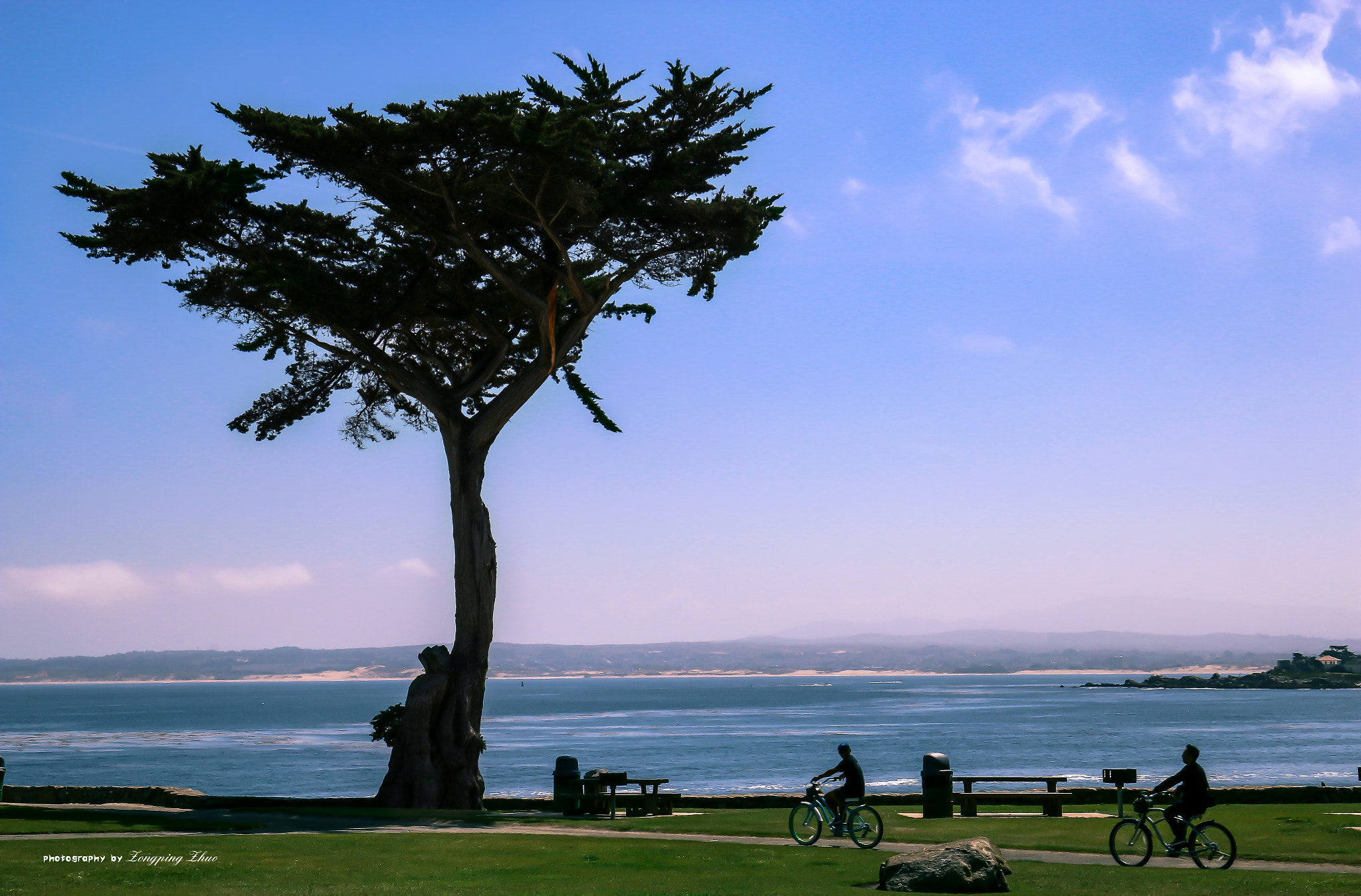 Canon EOS 70D + Canon EF 16-35mm F4L IS USM sample photo. Monterey photography