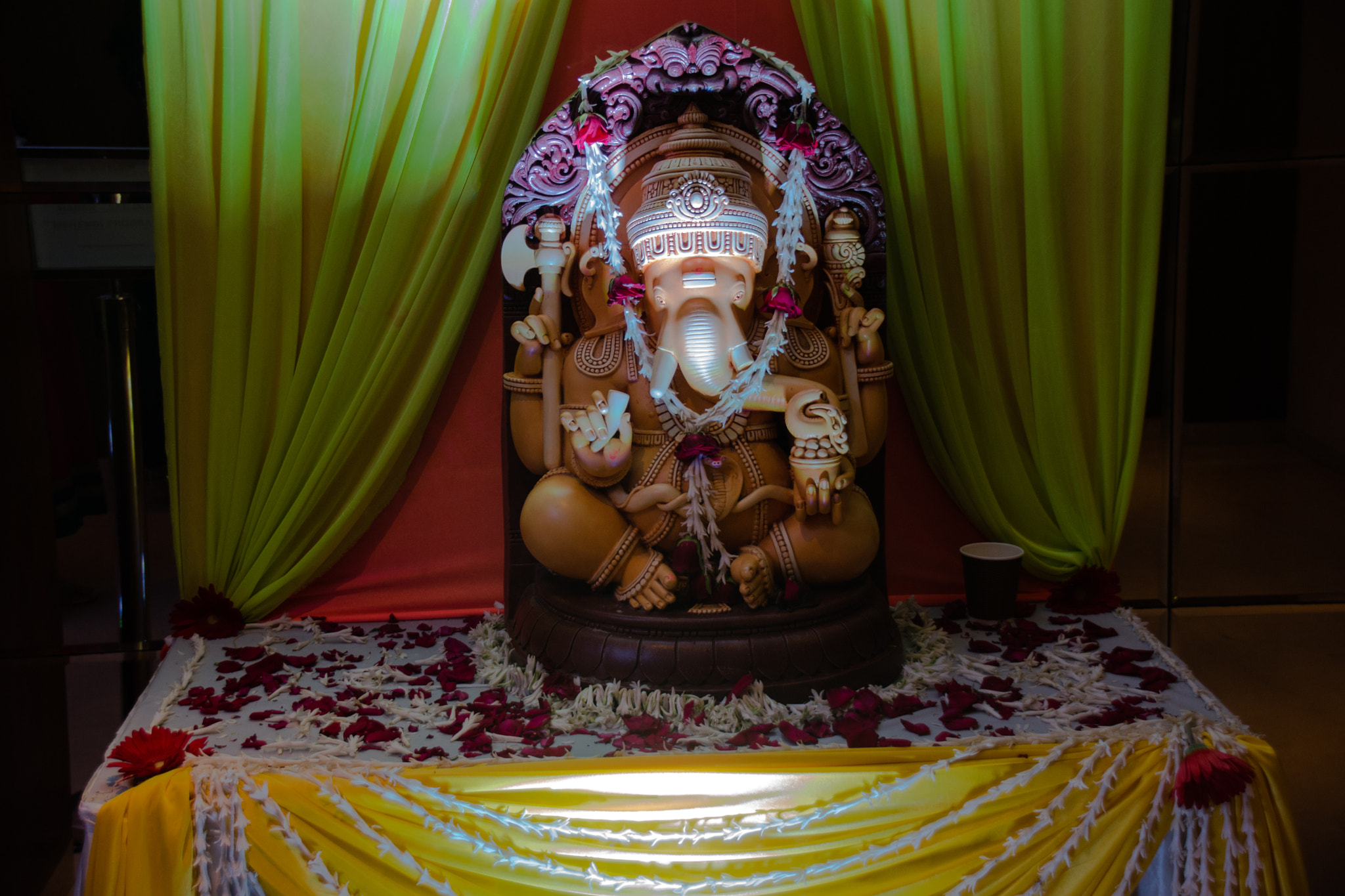 Sigma 18-250mm F3.5-6.3 DC Macro OS HSM sample photo. Ganesh photography