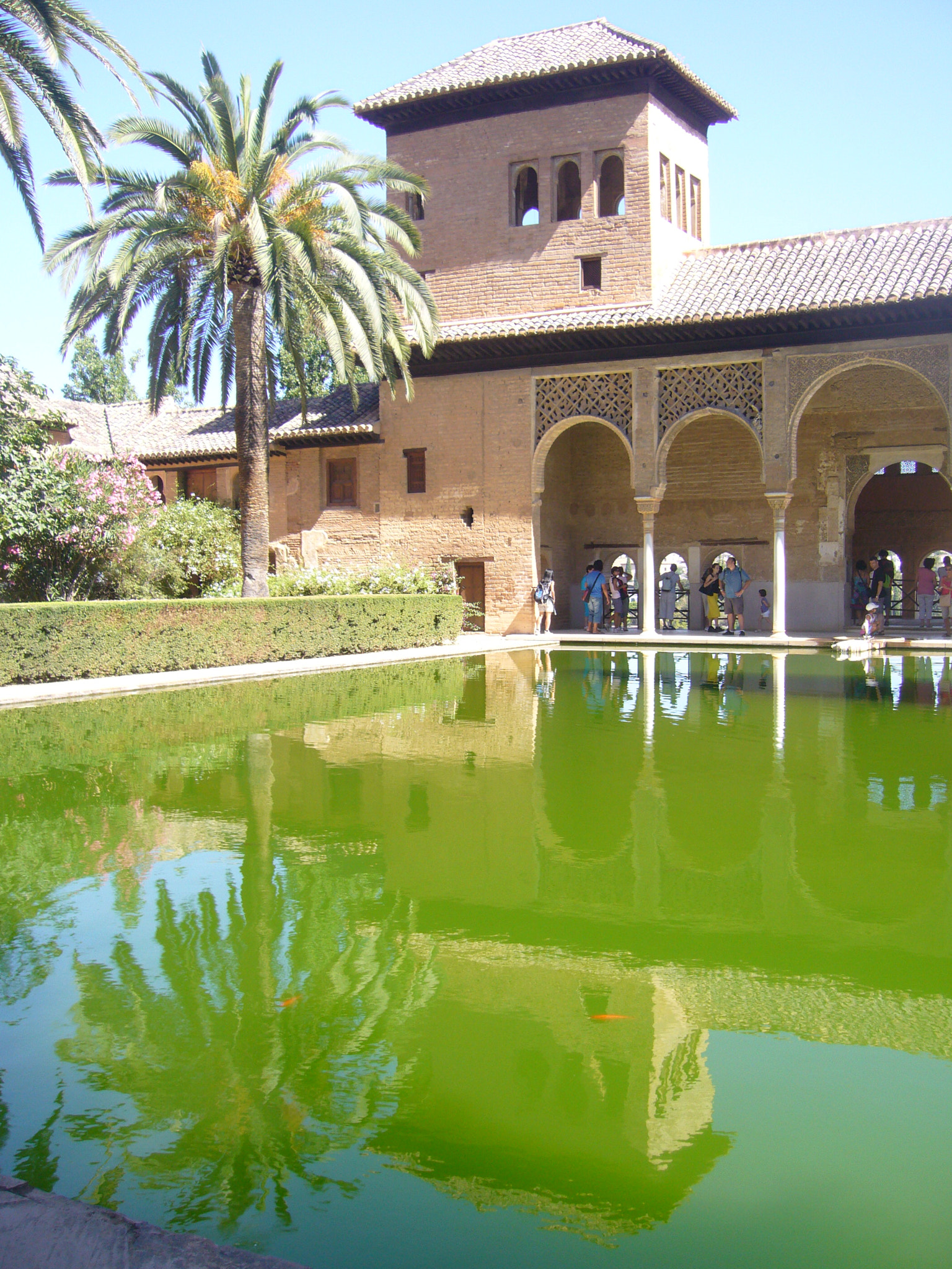 Panasonic DMC-FX9 sample photo. Heat and culture, magic reflection photography
