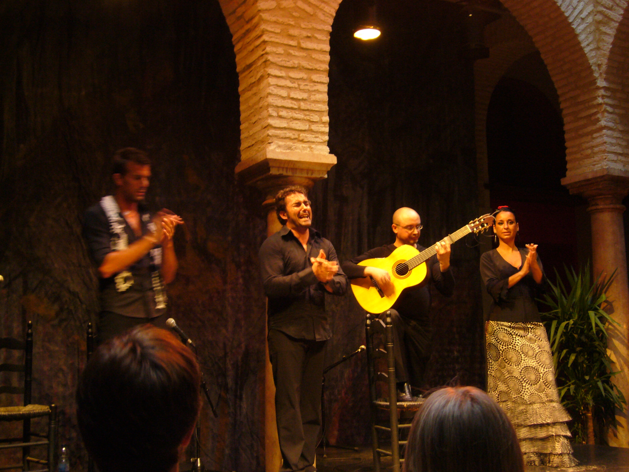 Panasonic DMC-FX9 sample photo. Heat and culture, flamenco photography